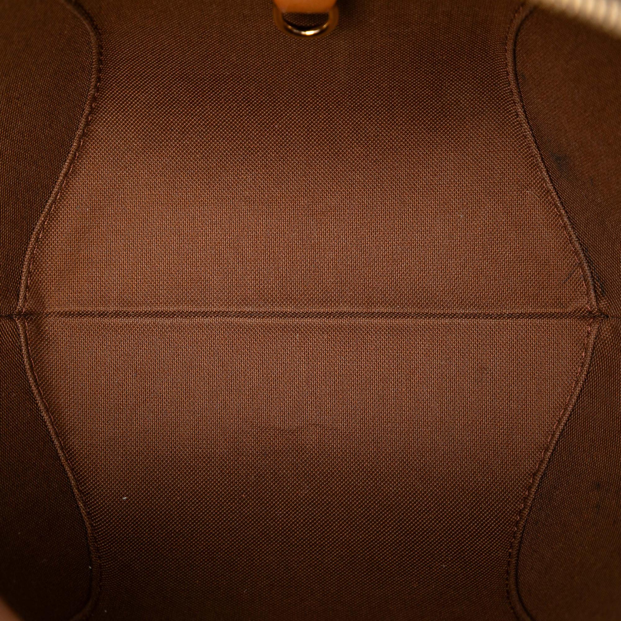 Louis Vuitton Monogram Ellipse PM