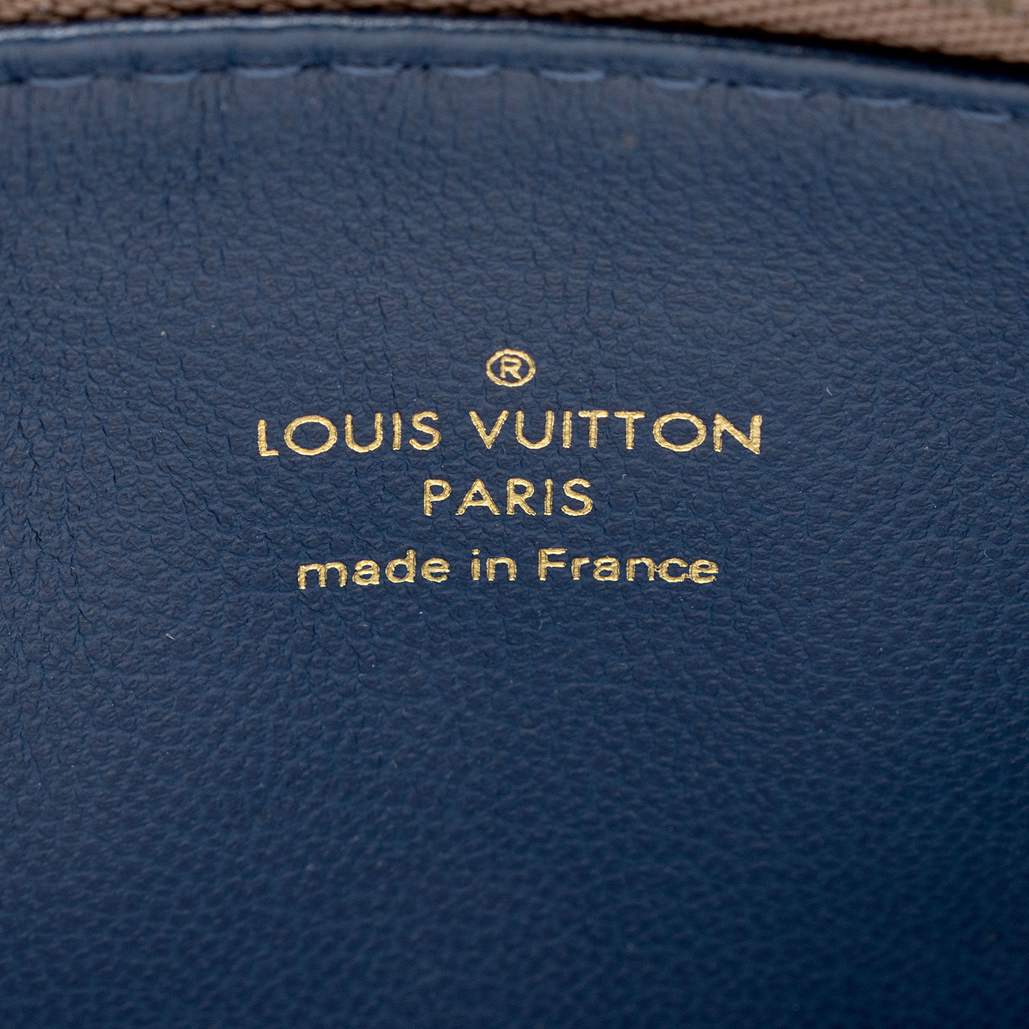 Louis Vuitton Monogram Embossed Lambskin Coussin PM Shoulder Bag