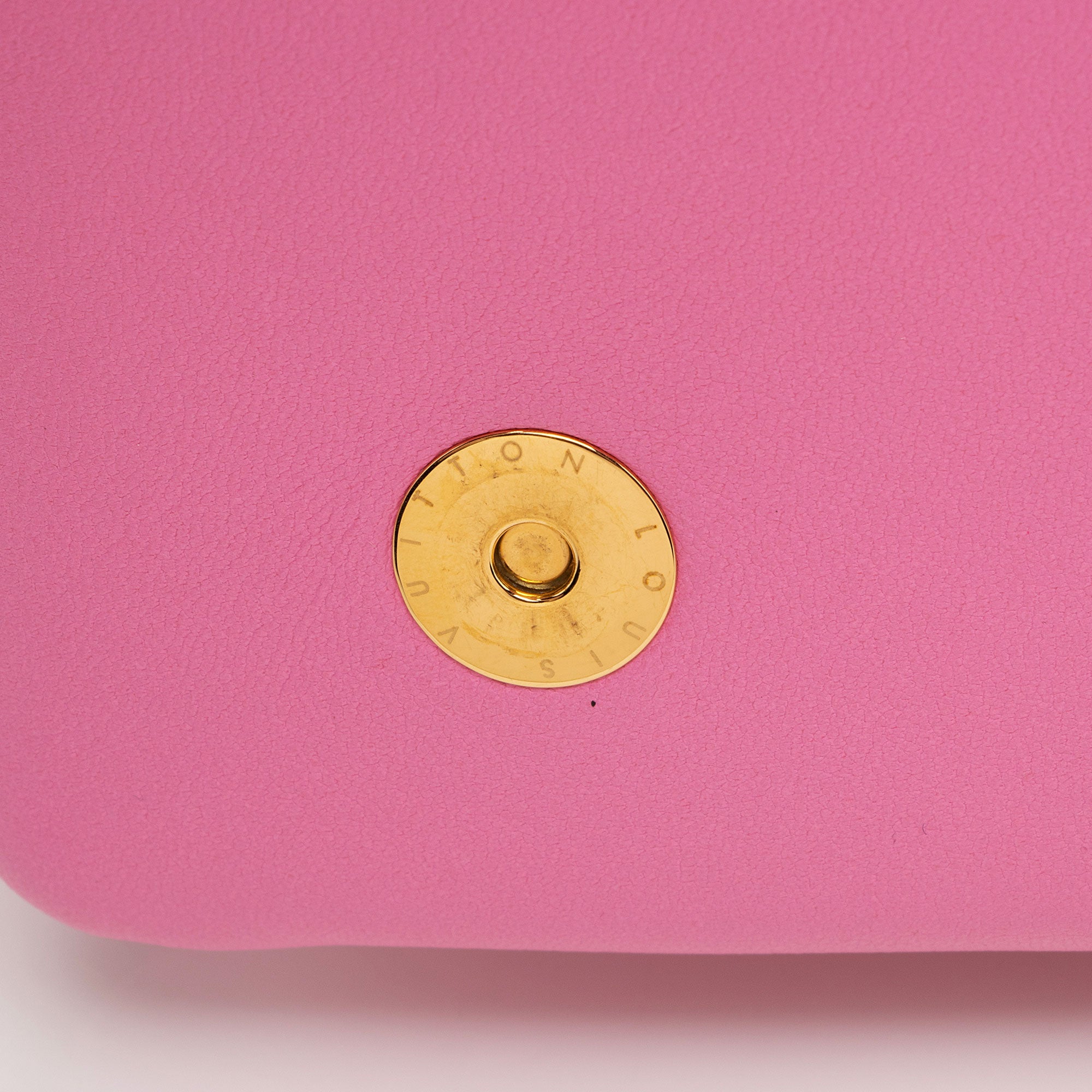 Louis Vuitton Monogram Embossed Lambskin Coussin Pochette (SHF-oTUif1)