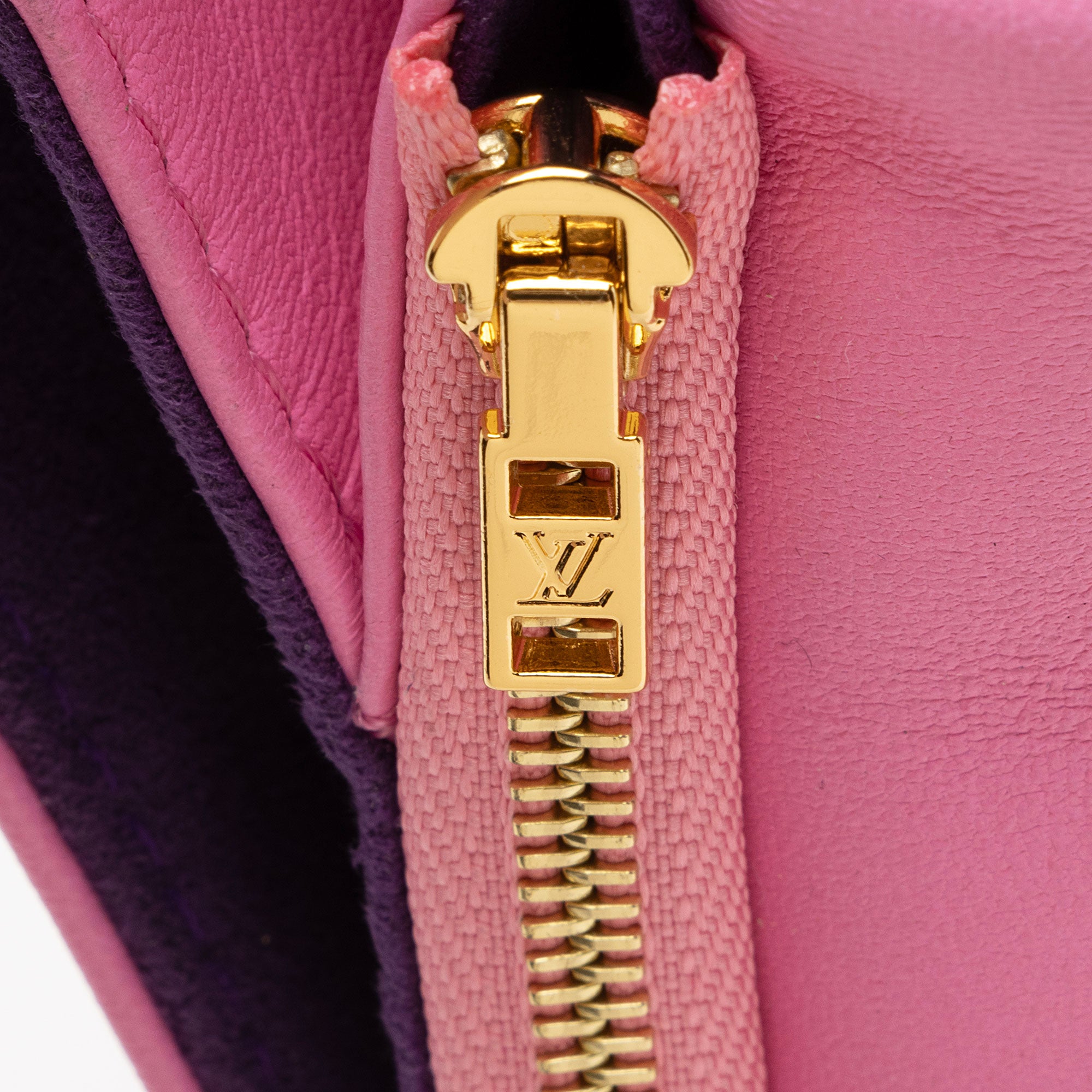 Louis Vuitton Monogram Embossed Lambskin Coussin Pochette (SHF-oTUif1)