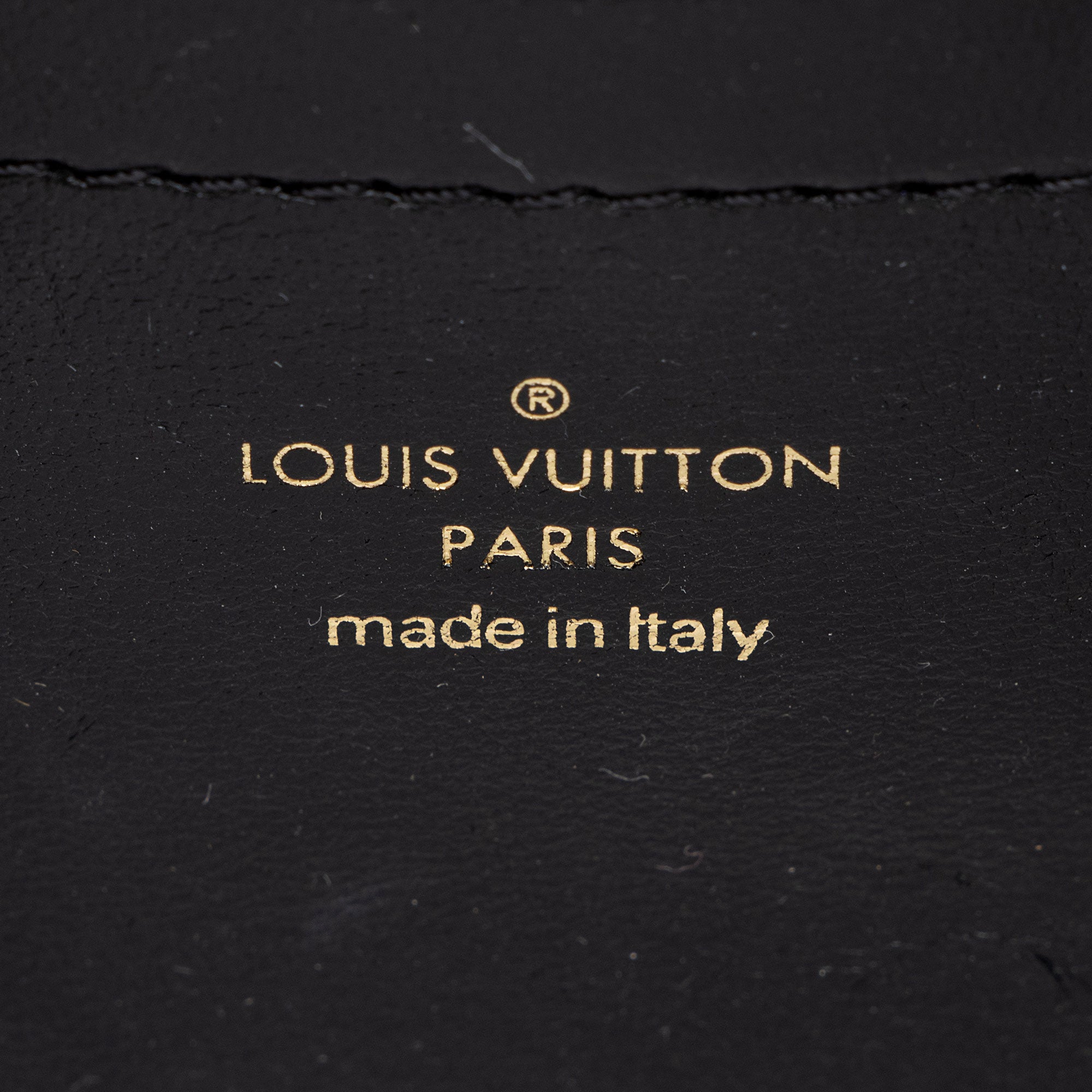Louis Vuitton Monogram Embossed Lambskin Coussin Pochette