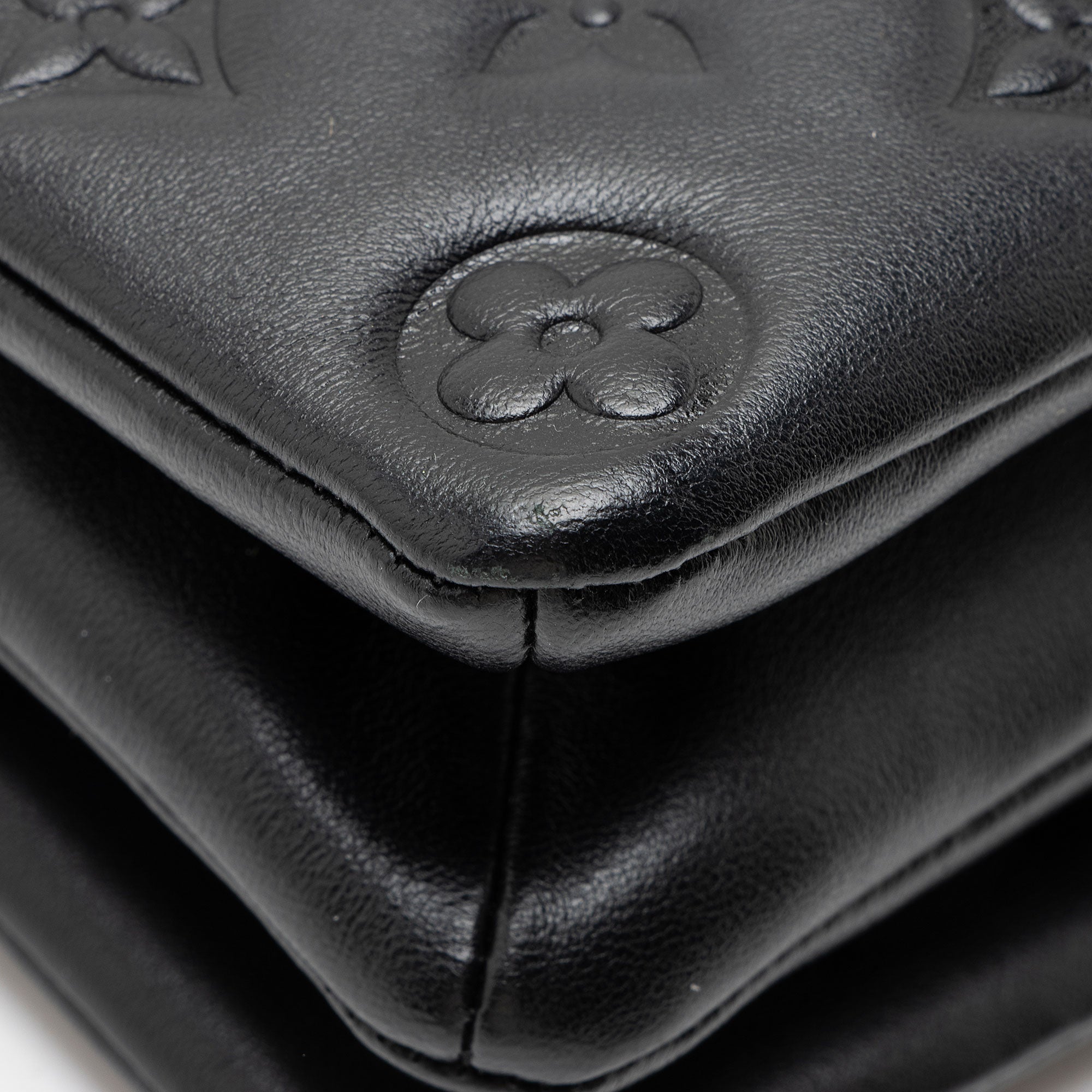 Louis Vuitton Monogram Embossed Lambskin Coussin Pochette