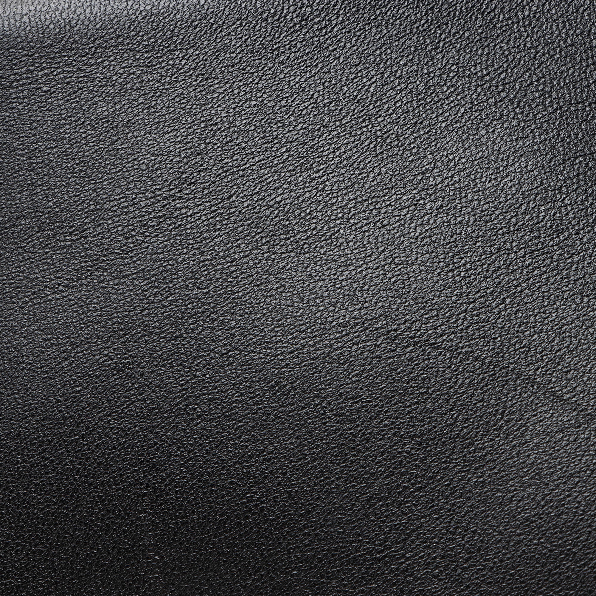 Louis Vuitton Monogram Embossed Lambskin Coussin Pochette