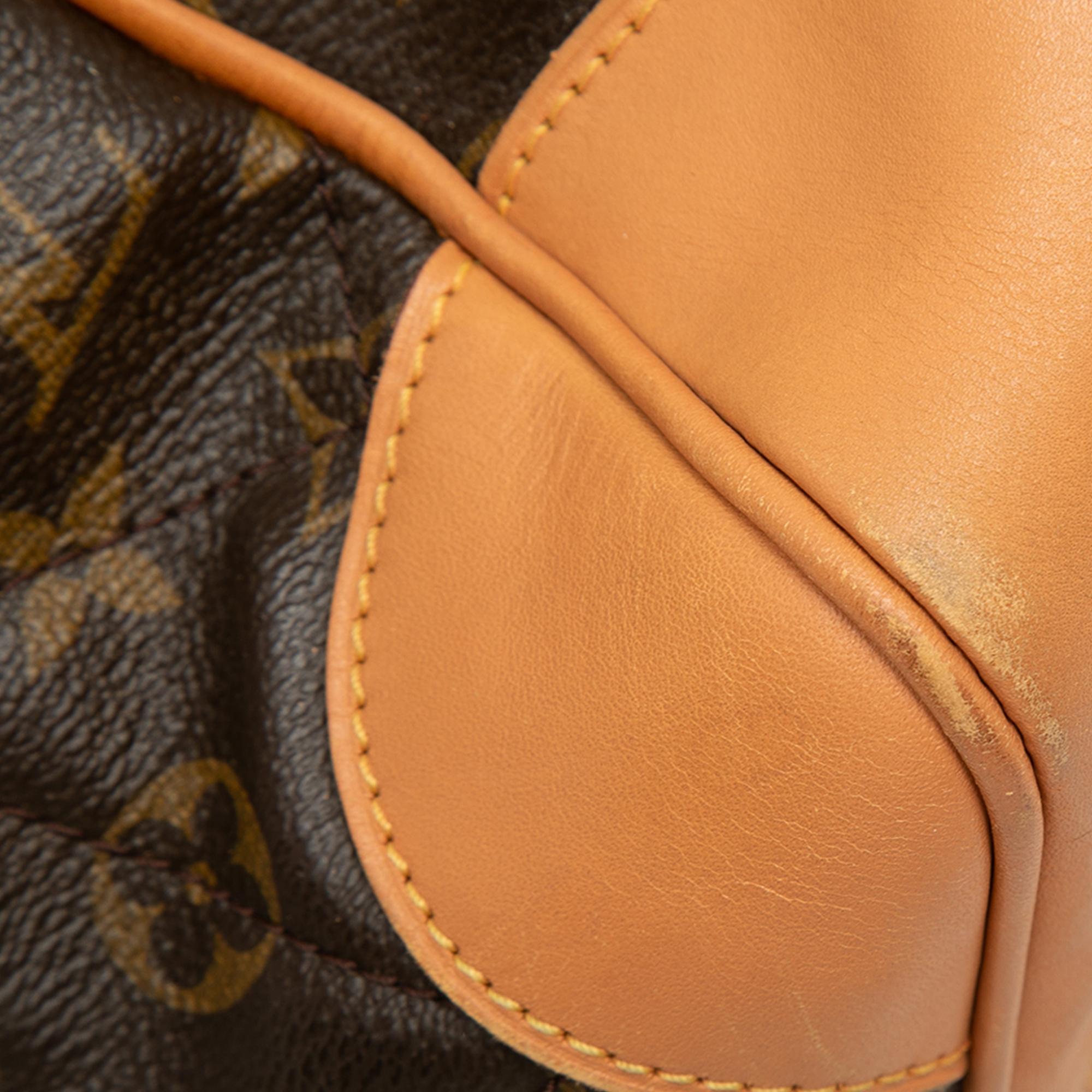 Louis Vuitton Monogram Etoile Shopper