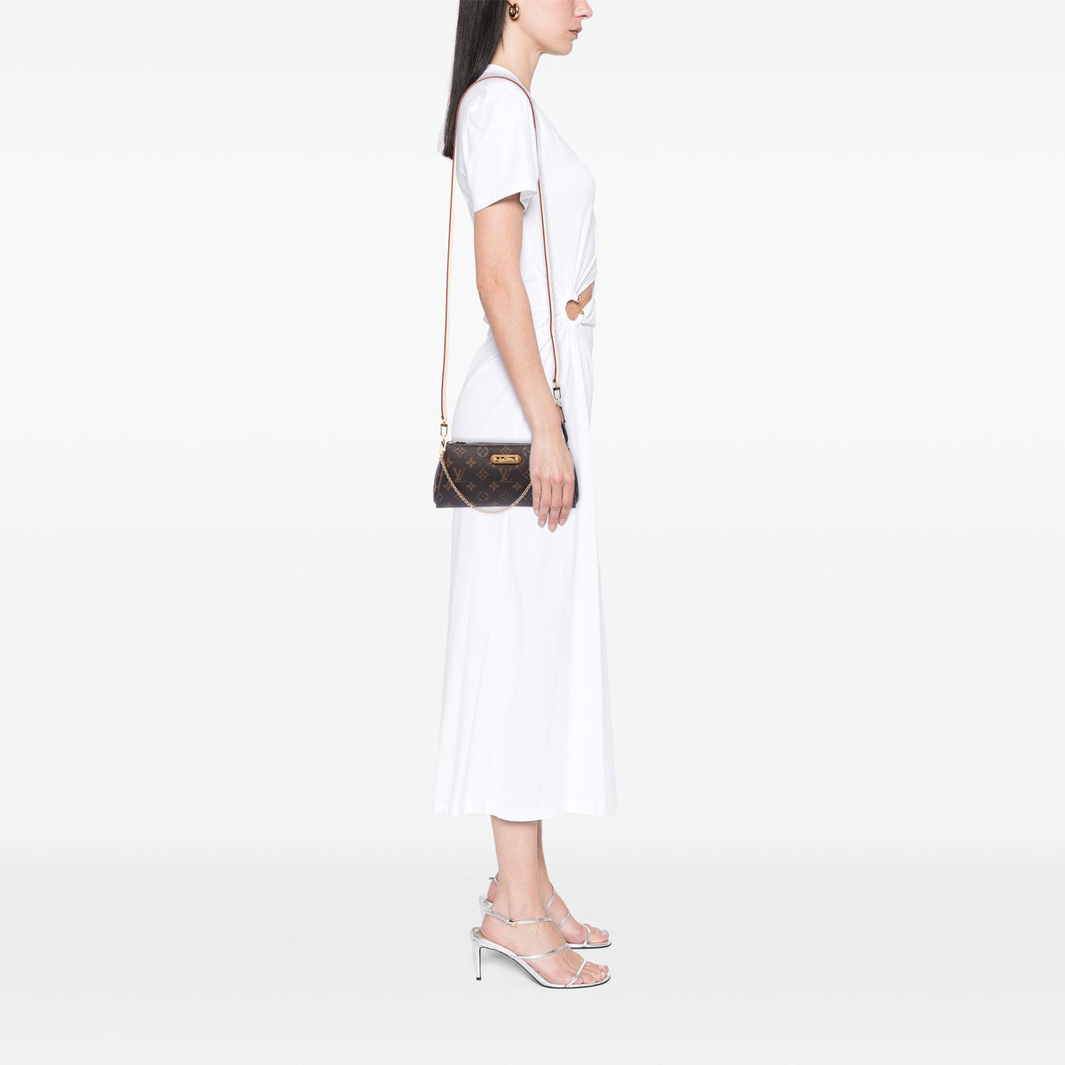 Louis Vuitton Monogram Eva