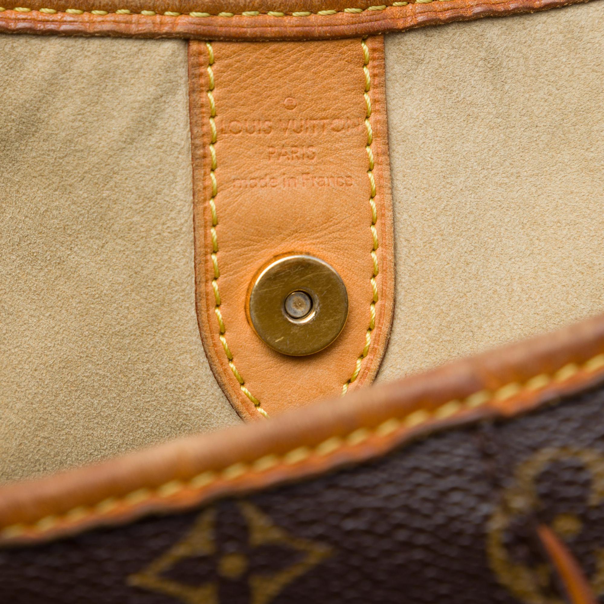 Louis Vuitton Monogram Galliera GM