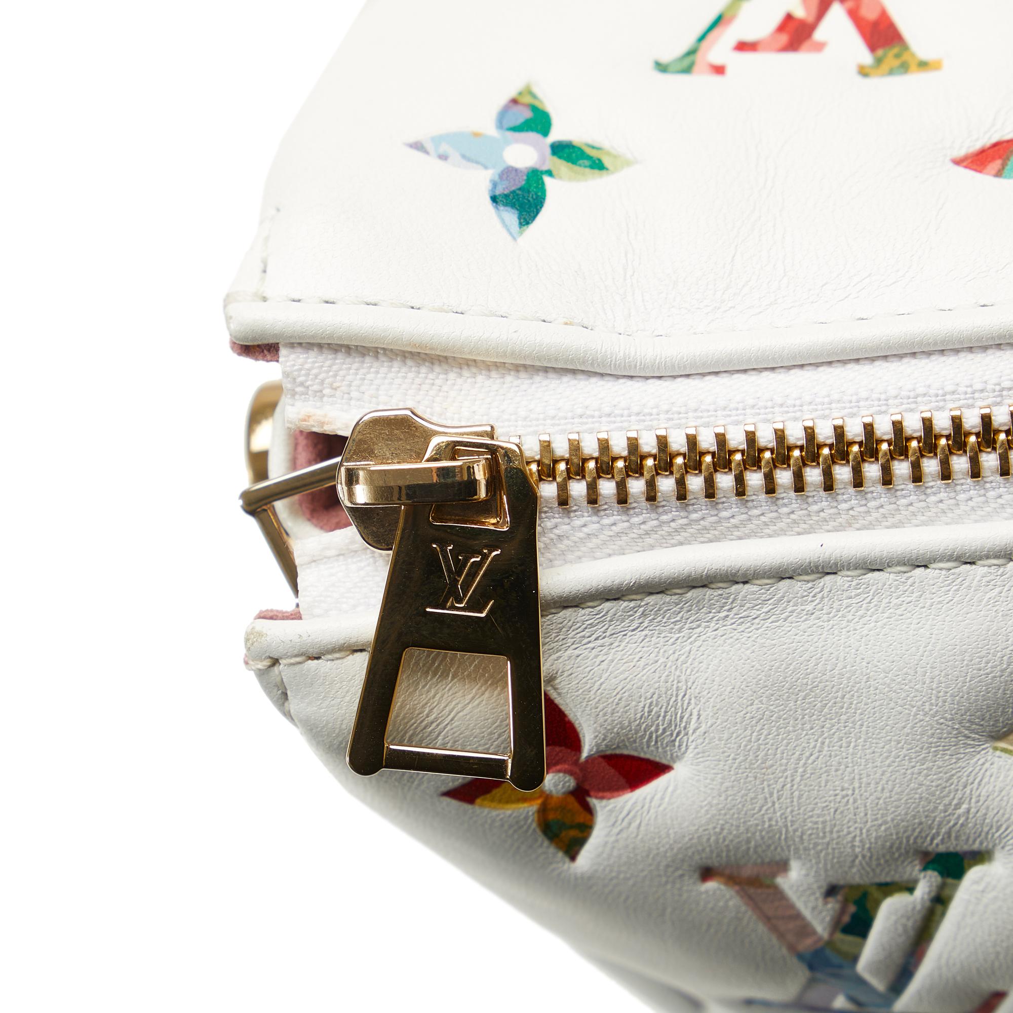 Louis Vuitton Monogram Garden Coussin PM