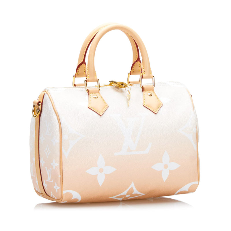 Louis Vuitton Monogram Giant By The Pool Speedy Bandouliere 25