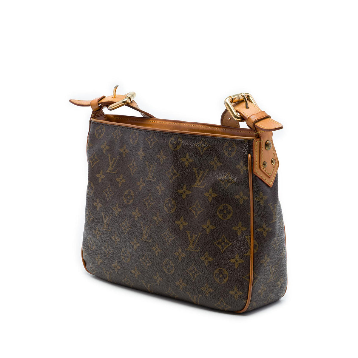 Louis Vuitton Monogram Hudson GM