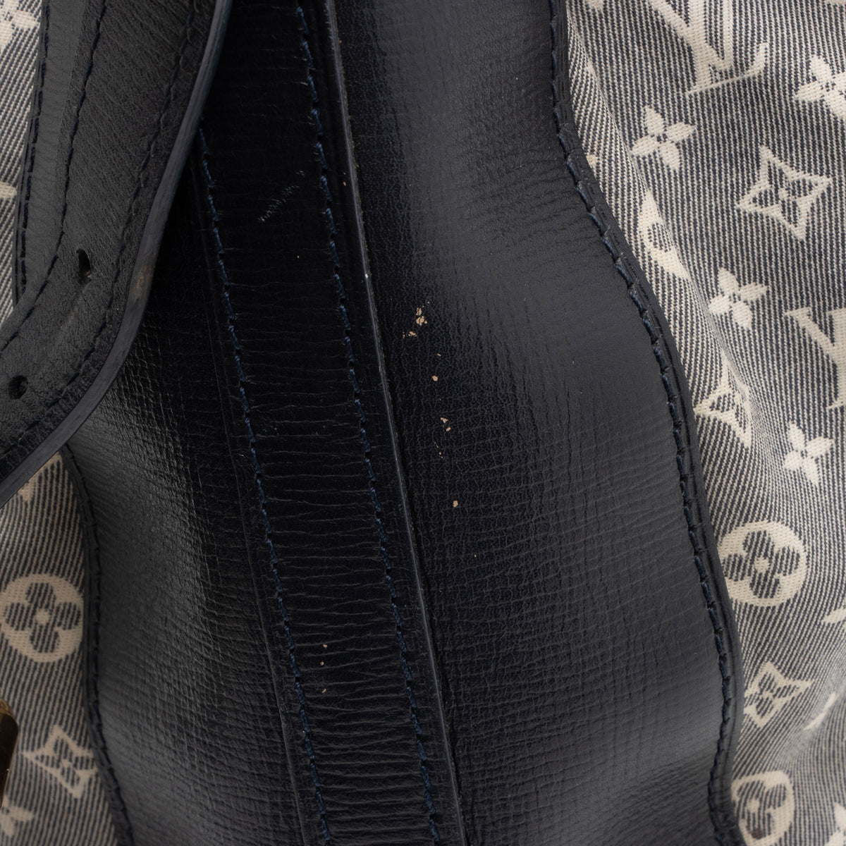 Louis Vuitton Monogram Idylle Noe PM Shoulder Bag