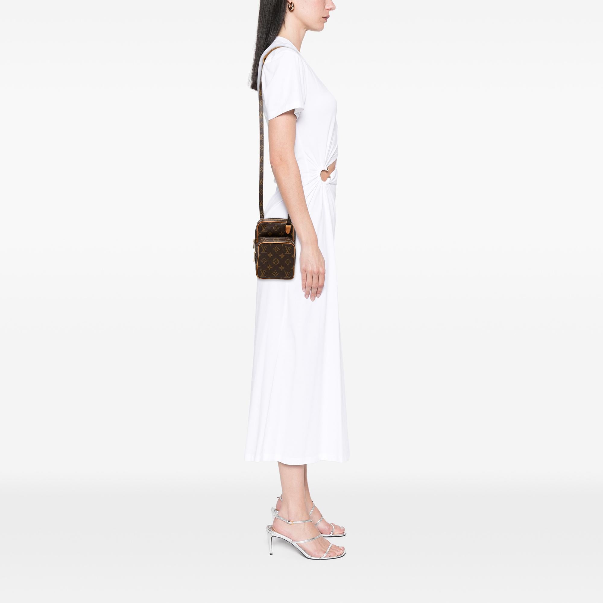 Louis Vuitton Monogram Mini Amazone