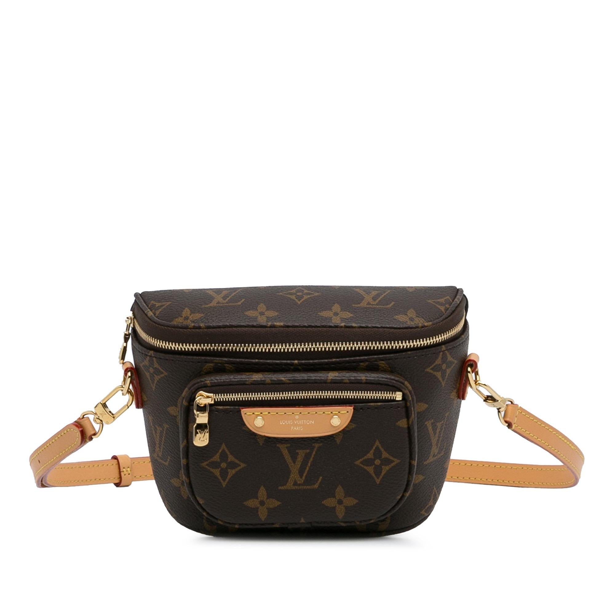 Louis Vuitton Monogram Mini Bumbag (SHG-EisMia)