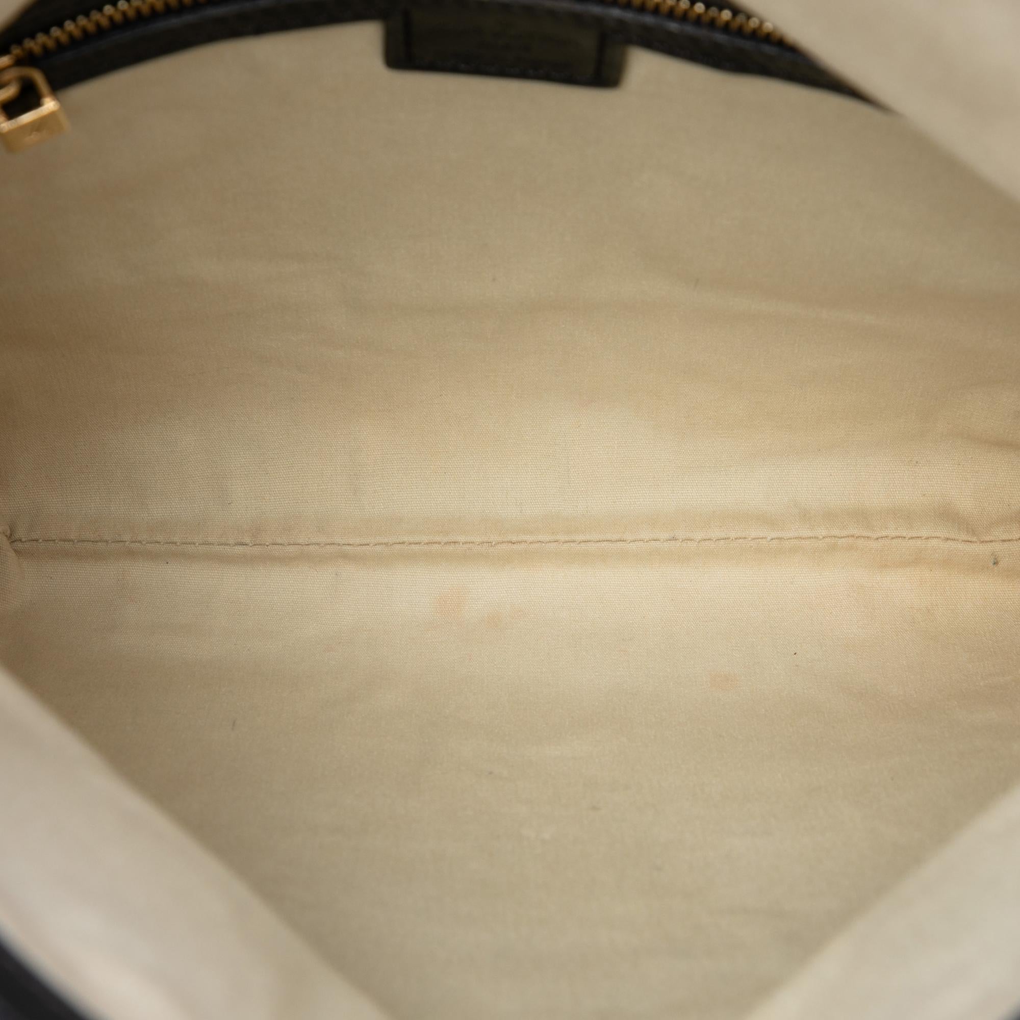 Louis Vuitton Monogram Mini Lin Francoise