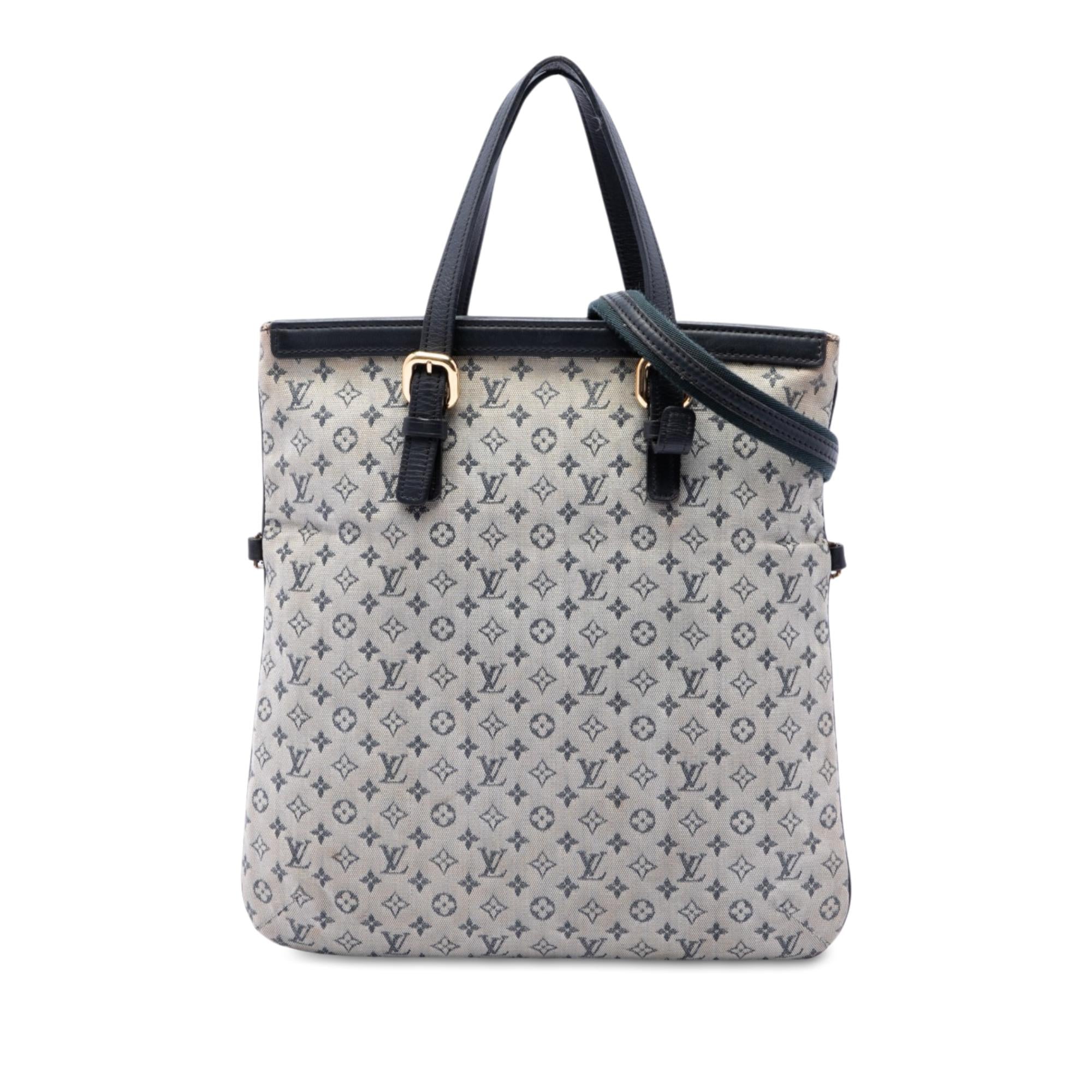 Louis Vuitton Monogram Mini Lin Francoise