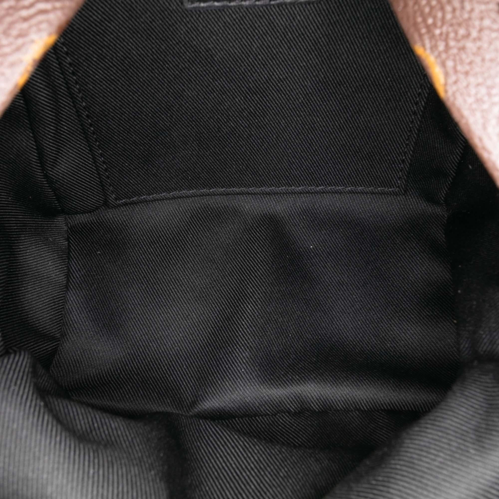 Louis Vuitton Monogram Mini Palm Springs