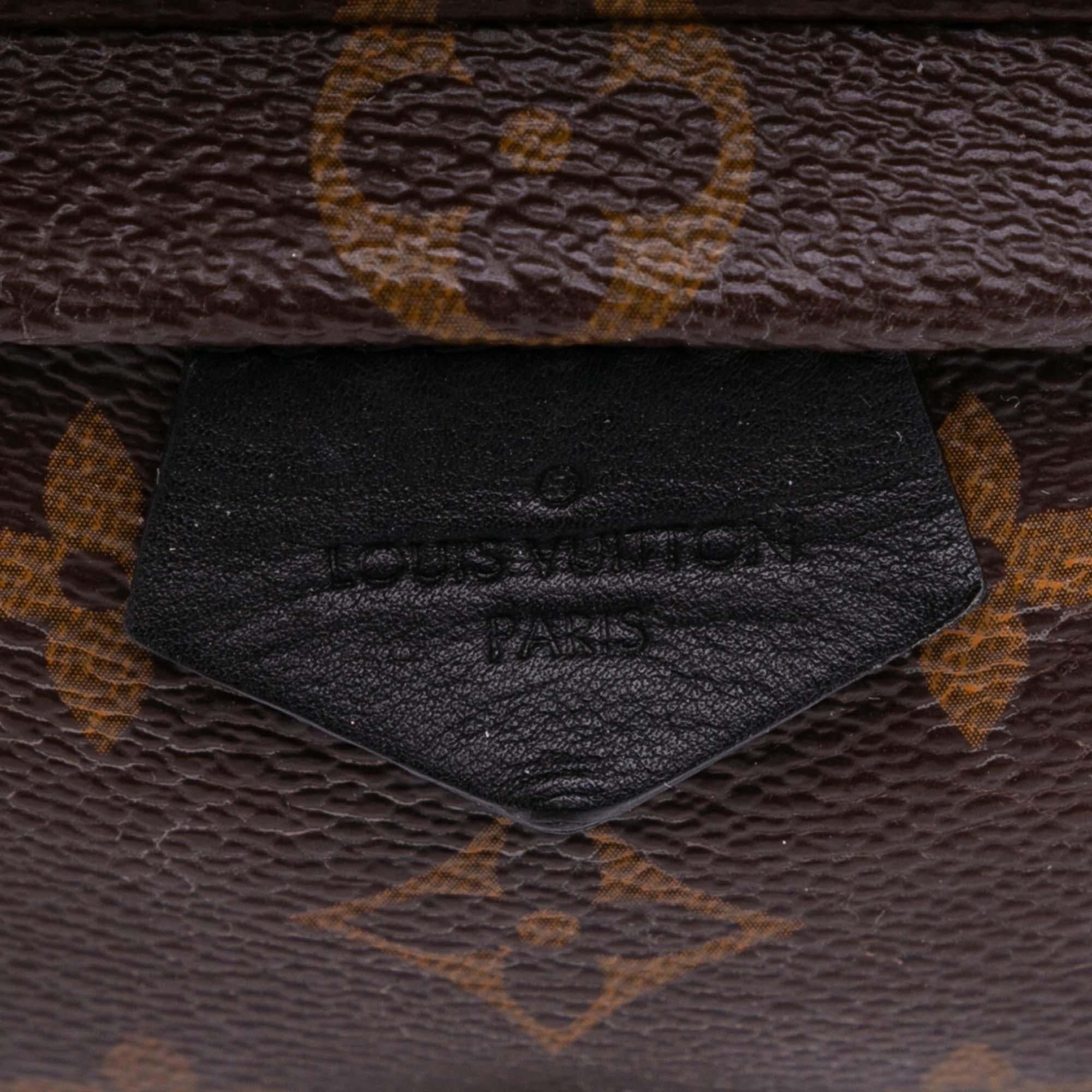 Louis Vuitton Monogram Mini Palm Springs