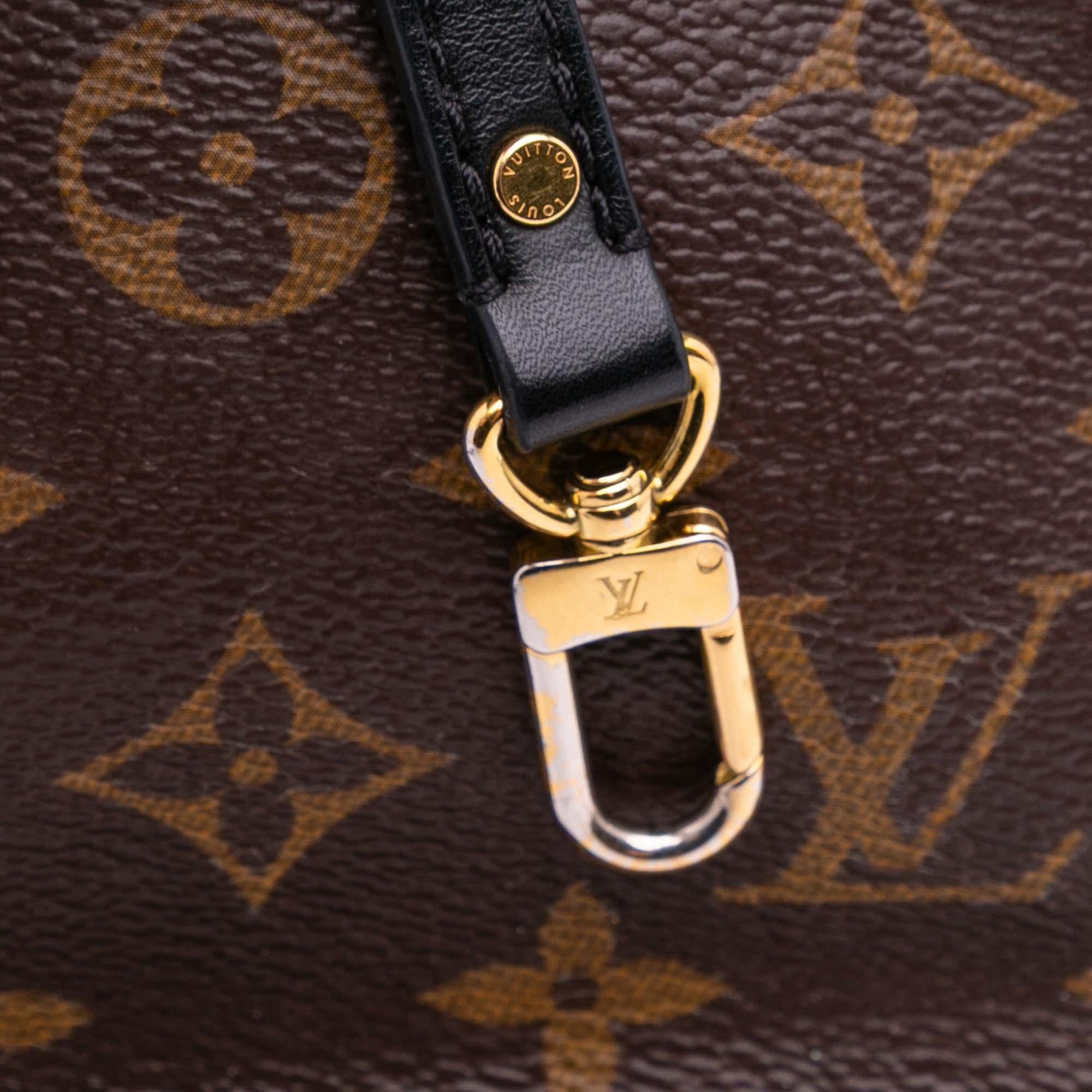 Louis Vuitton Monogram Mini Palm Springs