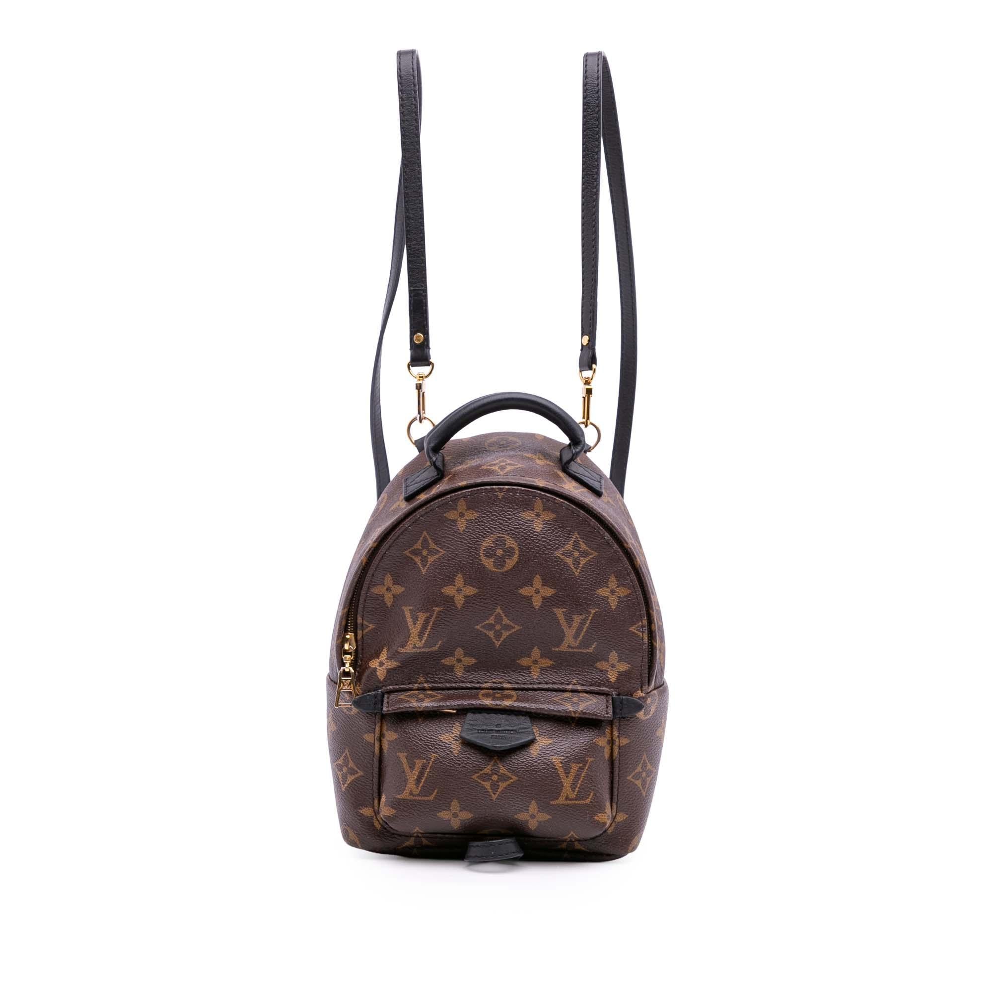 Louis Vuitton Monogram Mini Palm Springs