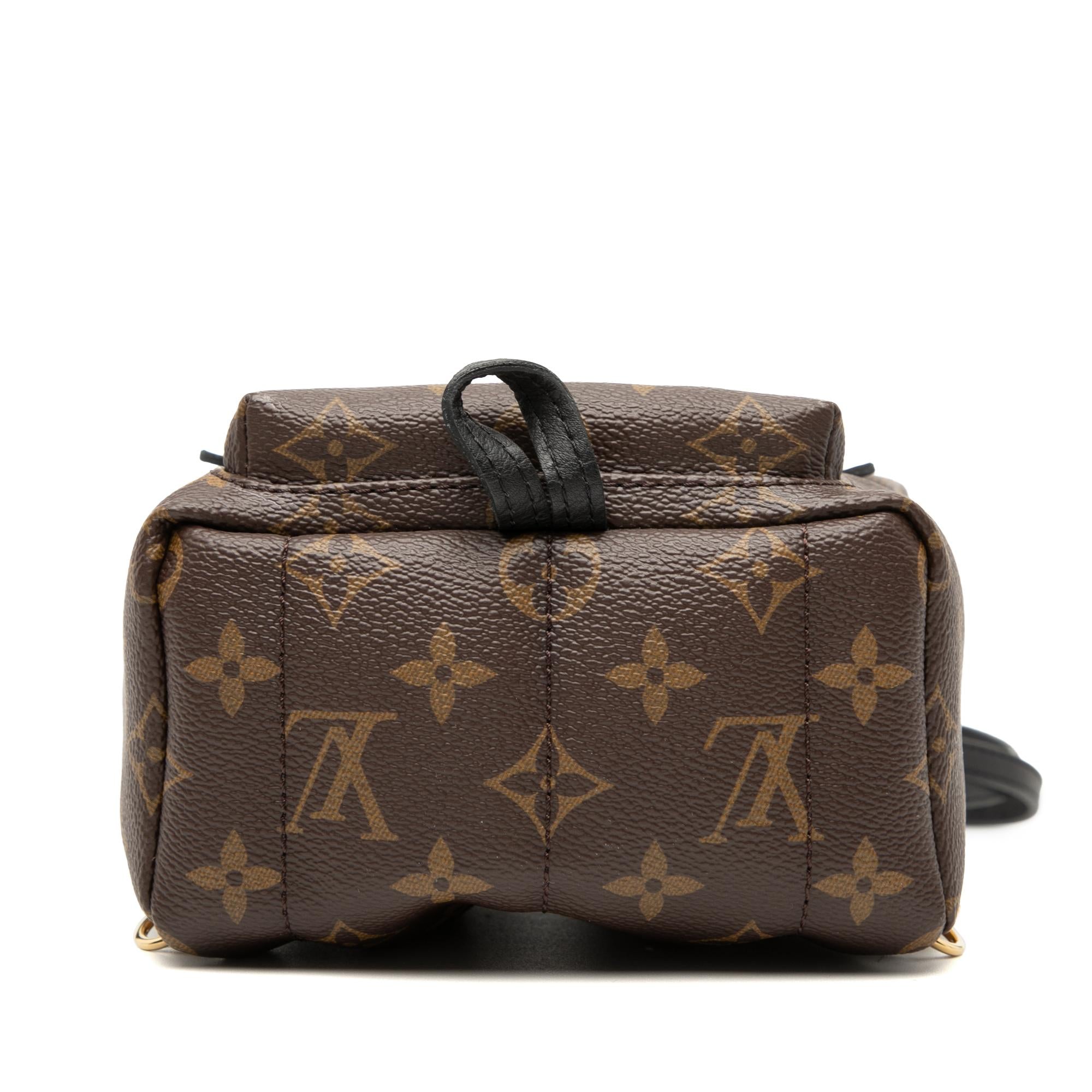 Louis Vuitton Monogram Mini Palm Springs