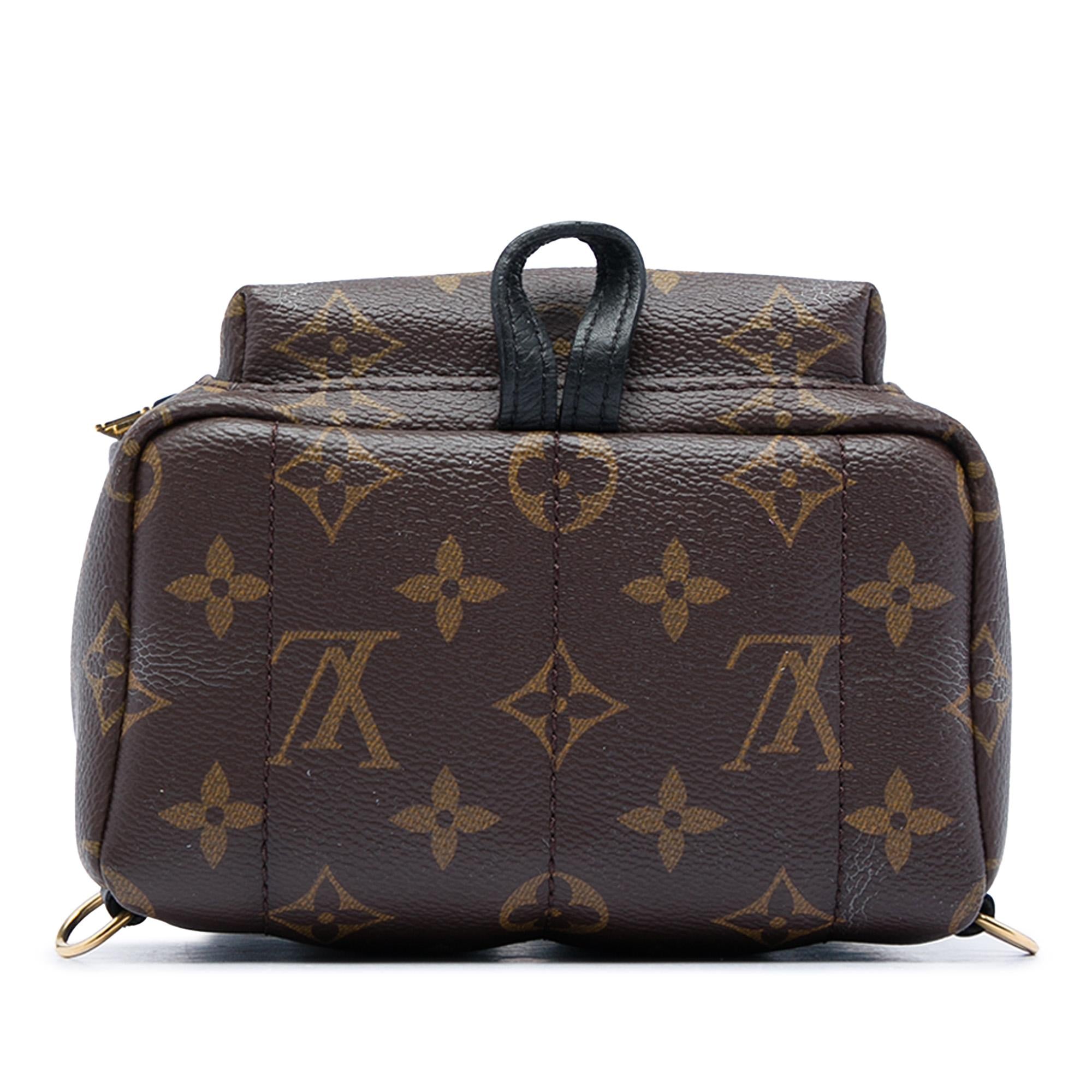 Louis Vuitton Monogram Mini Palm Springs