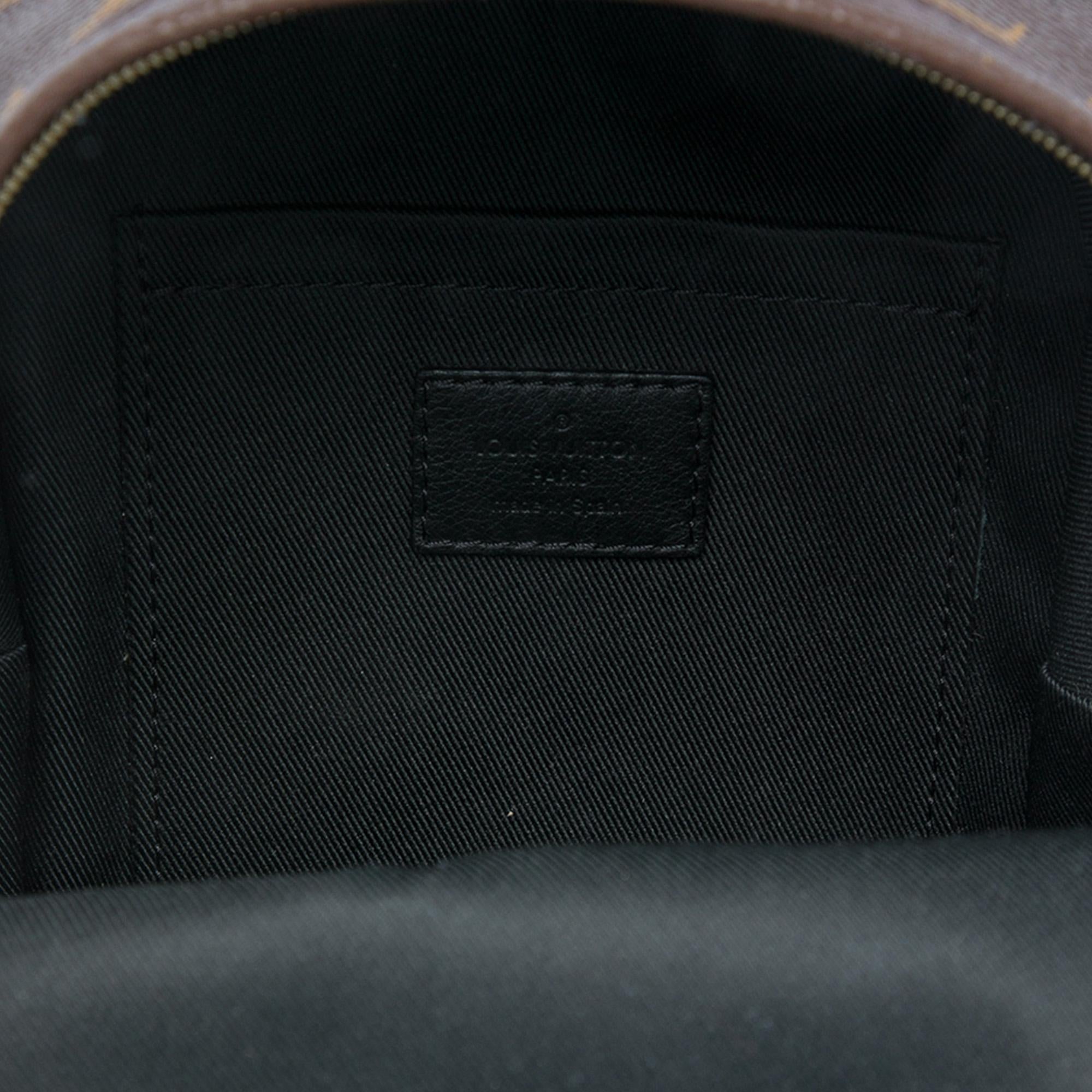 Louis Vuitton Monogram Mini Palm Springs