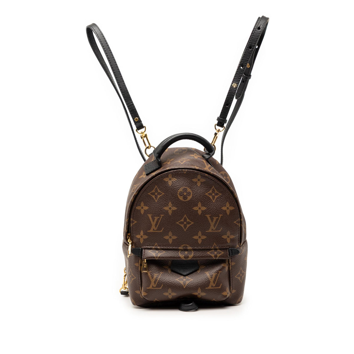 Louis Vuitton Monogram Mini Palm Springs