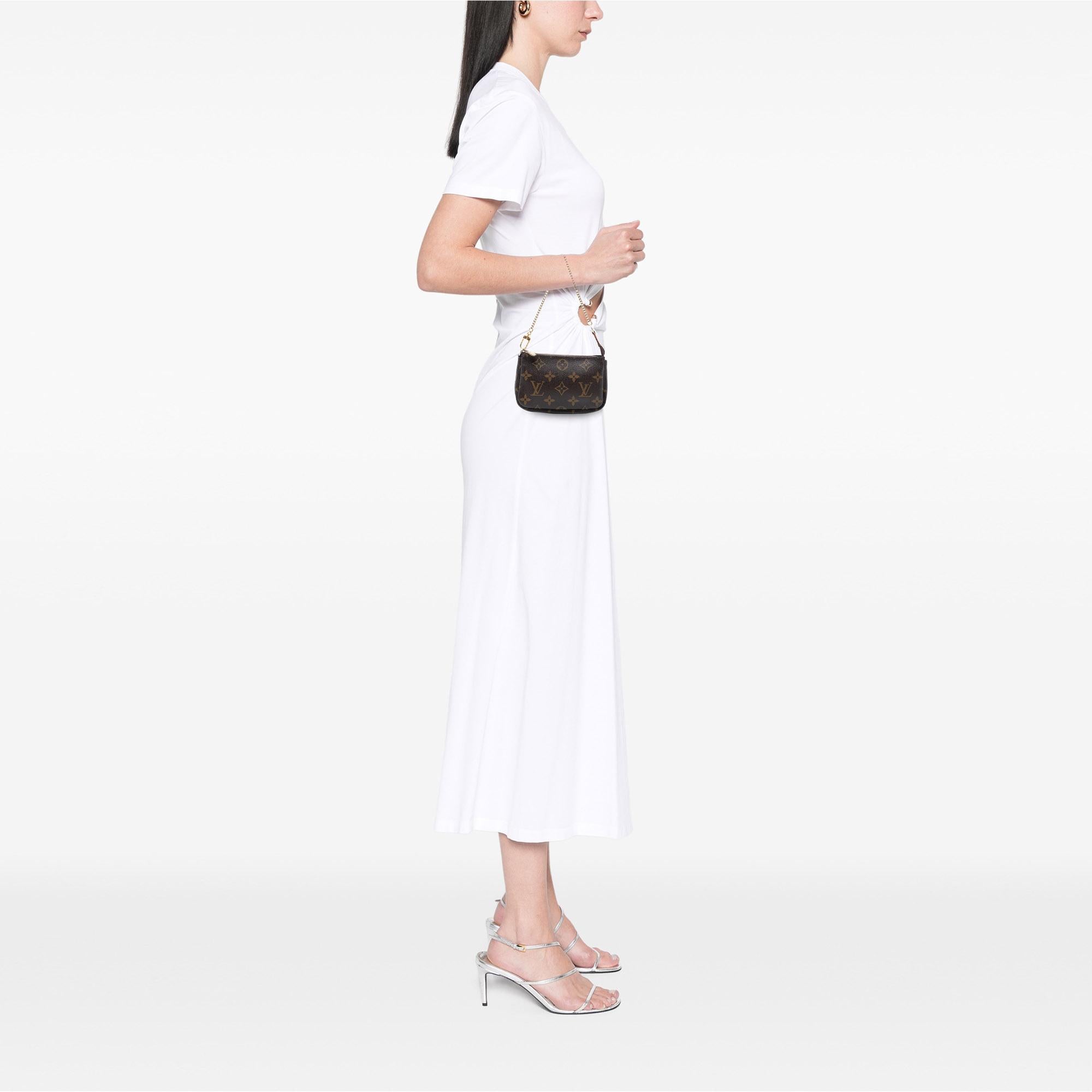 Louis Vuitton Monogram Mini Pochette Accessoires