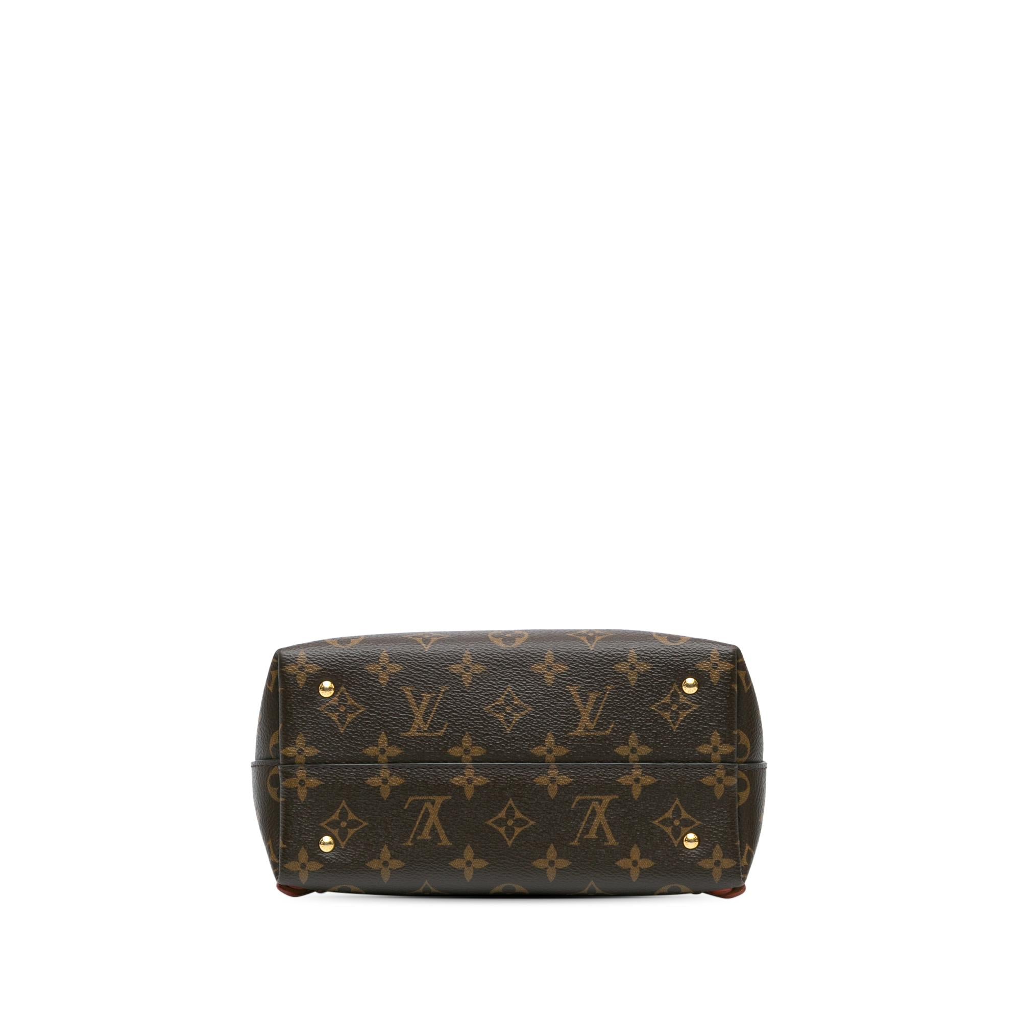 Louis Vuitton Monogram Moon Backpack