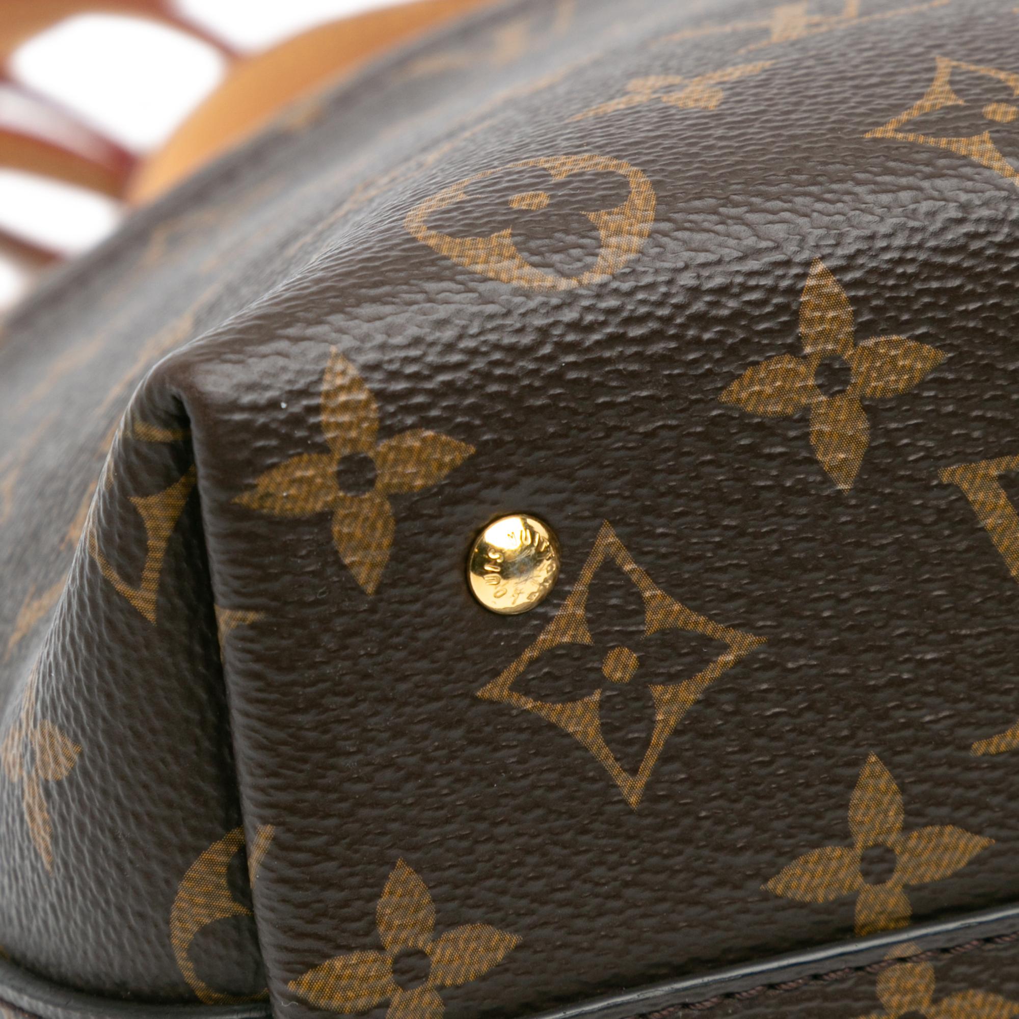 Louis Vuitton Monogram Moon Backpack