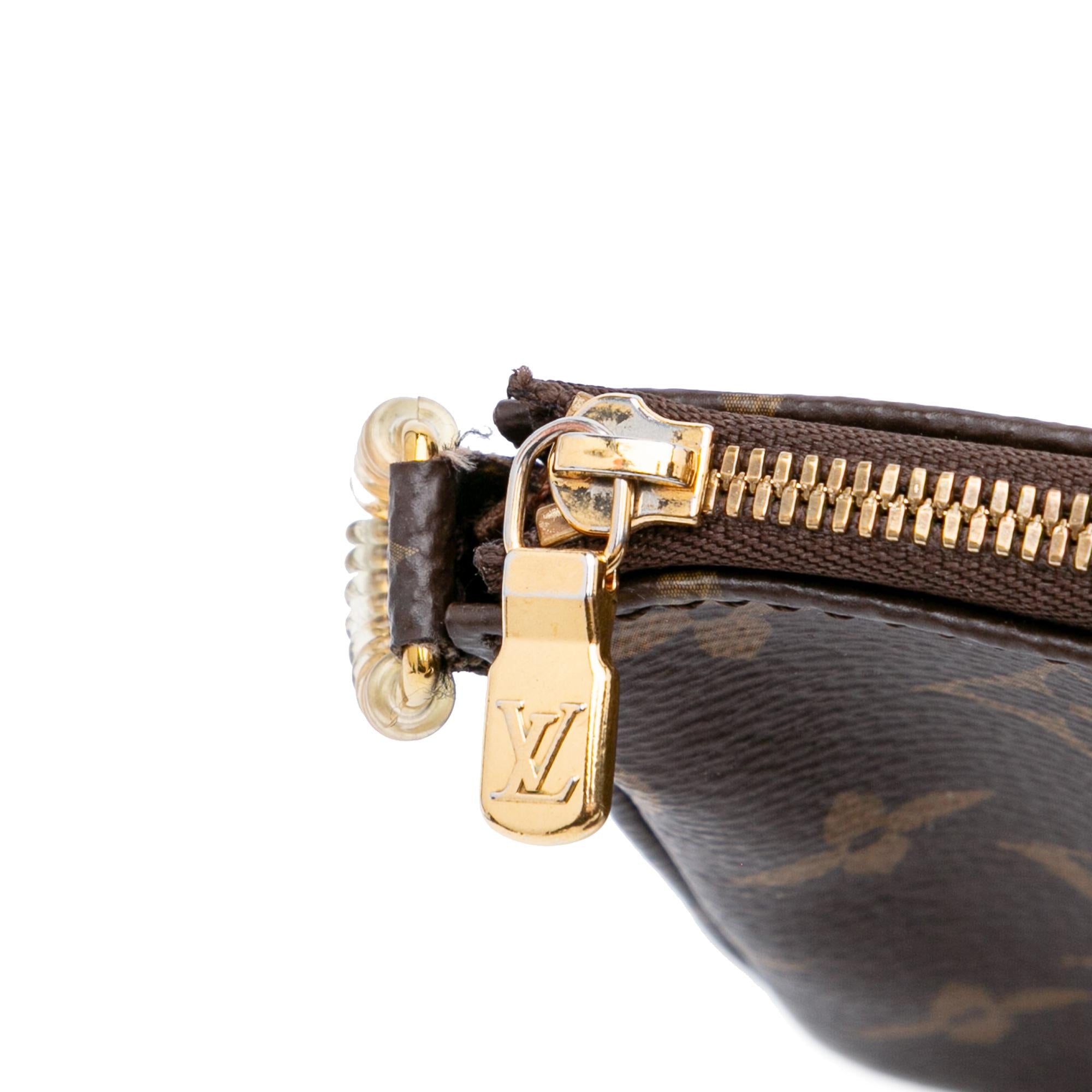 Louis Vuitton Monogram Multi-Pochette Accessoires