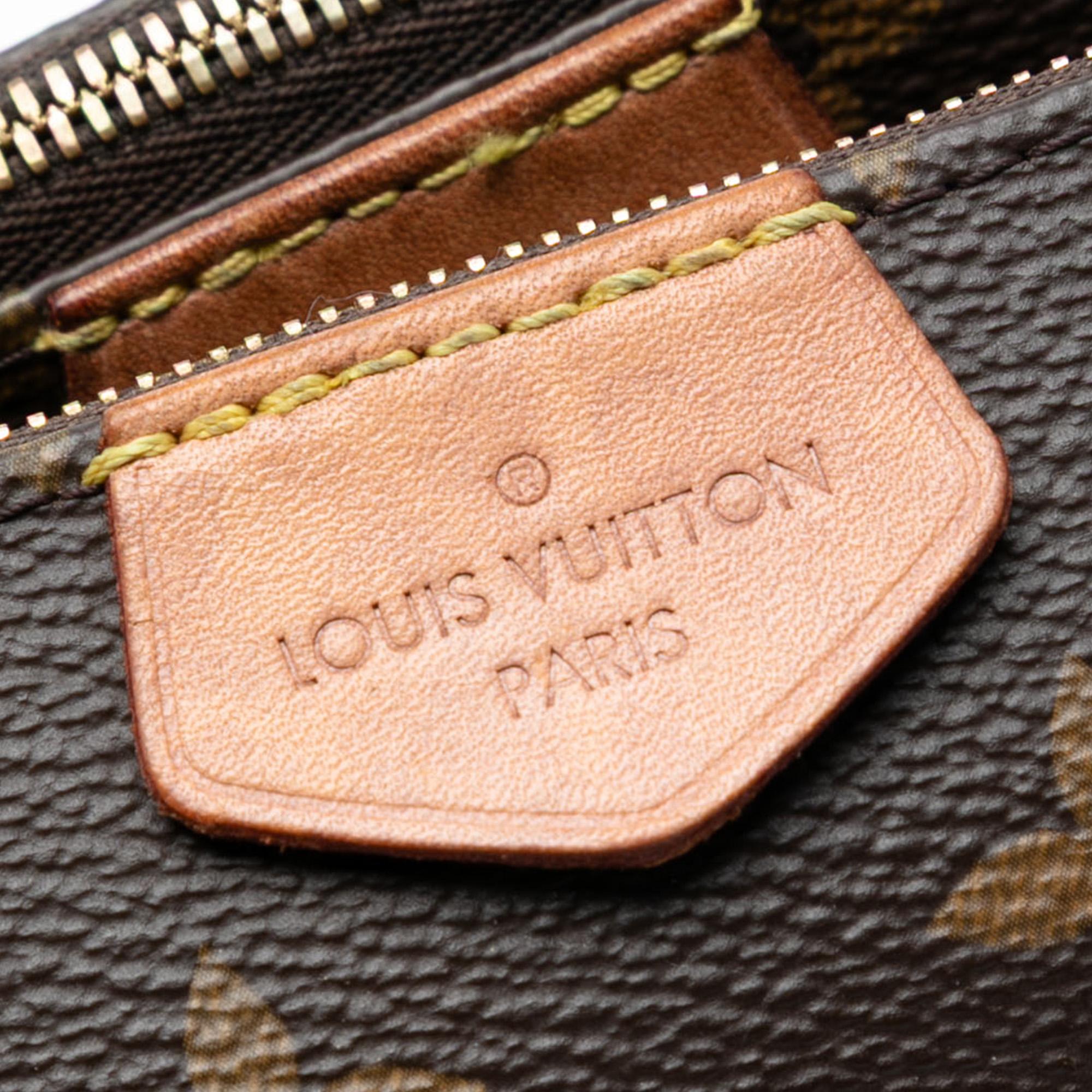 Louis Vuitton Monogram Multi Pochette Accessoires