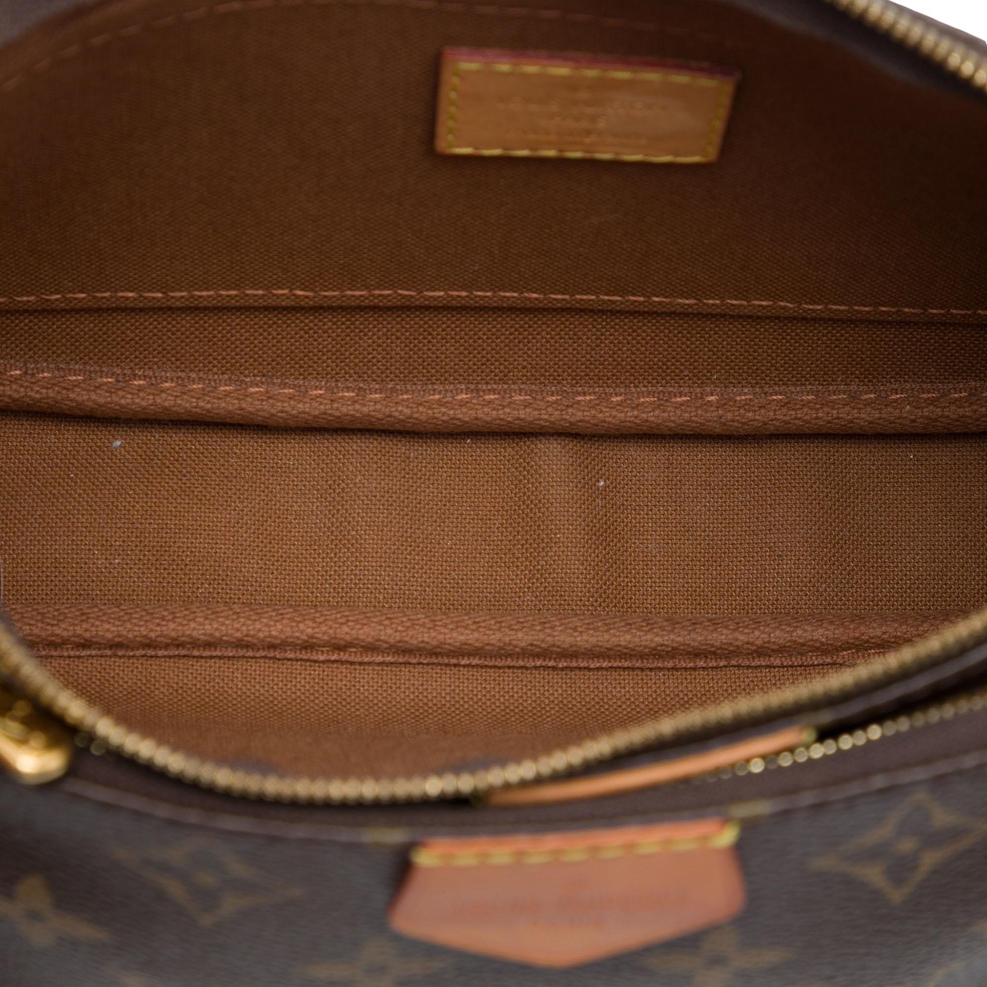 Louis Vuitton Monogram Multi Pochette Accessoires