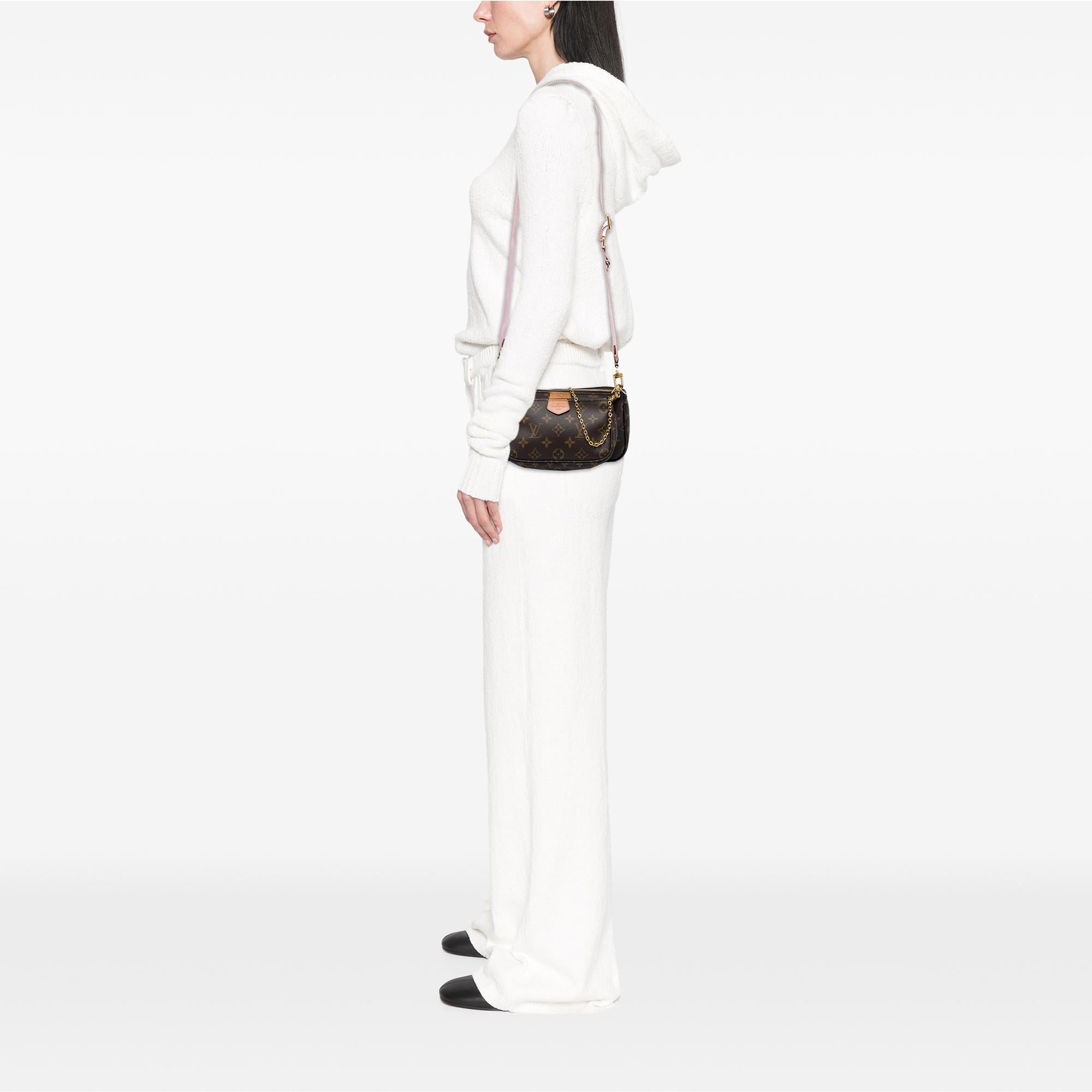 Louis Vuitton Monogram Multi Pochette Accessoires