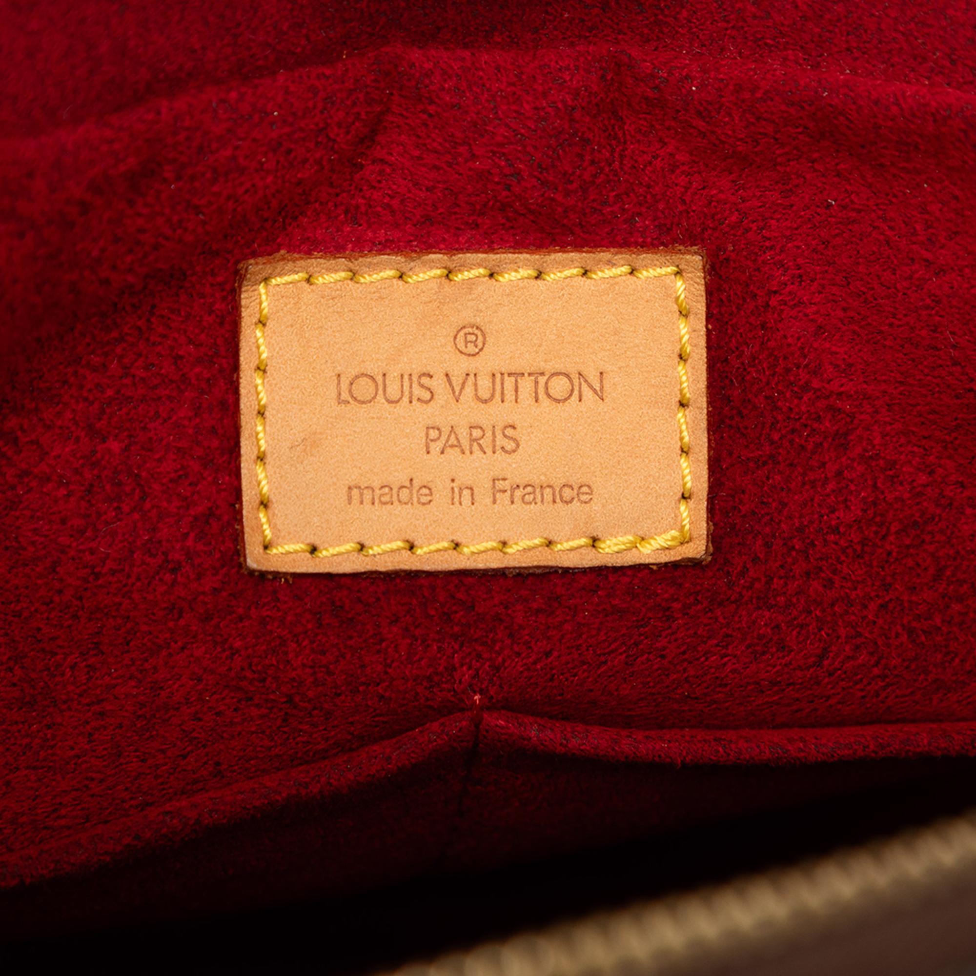 Louis Vuitton Monogram Multipli Cite