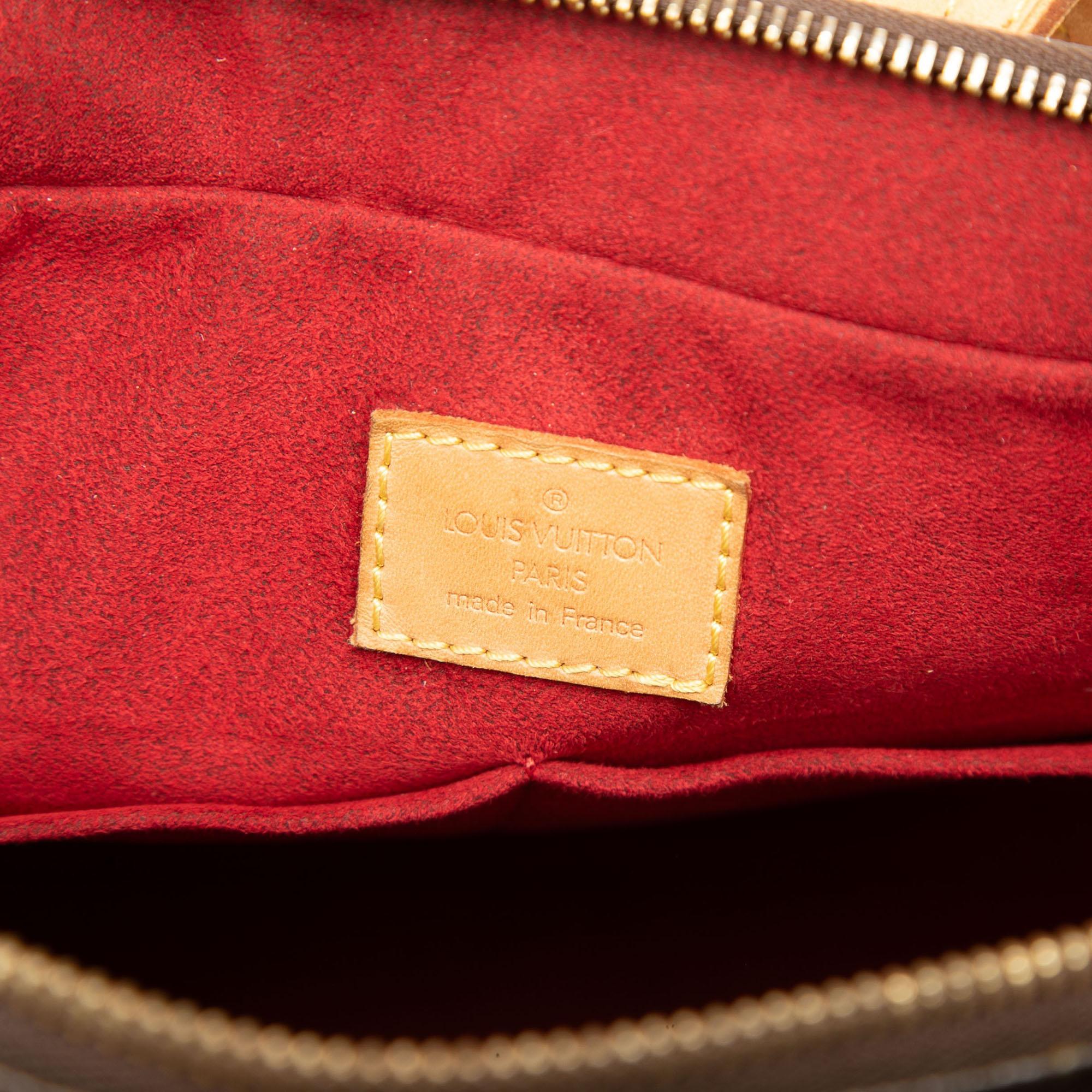 Louis Vuitton Monogram Multipli Cite