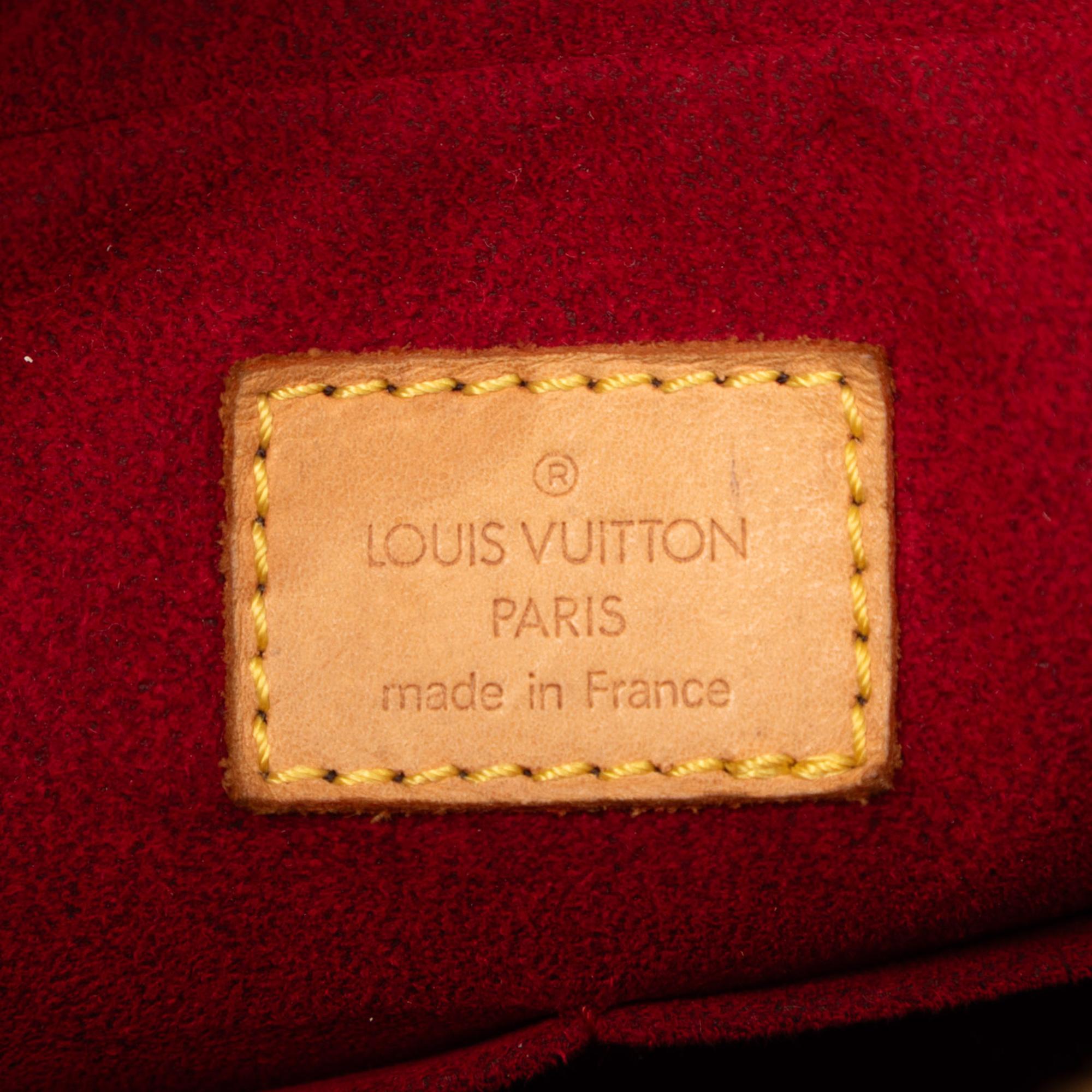 Louis Vuitton Monogram Multipli Cite