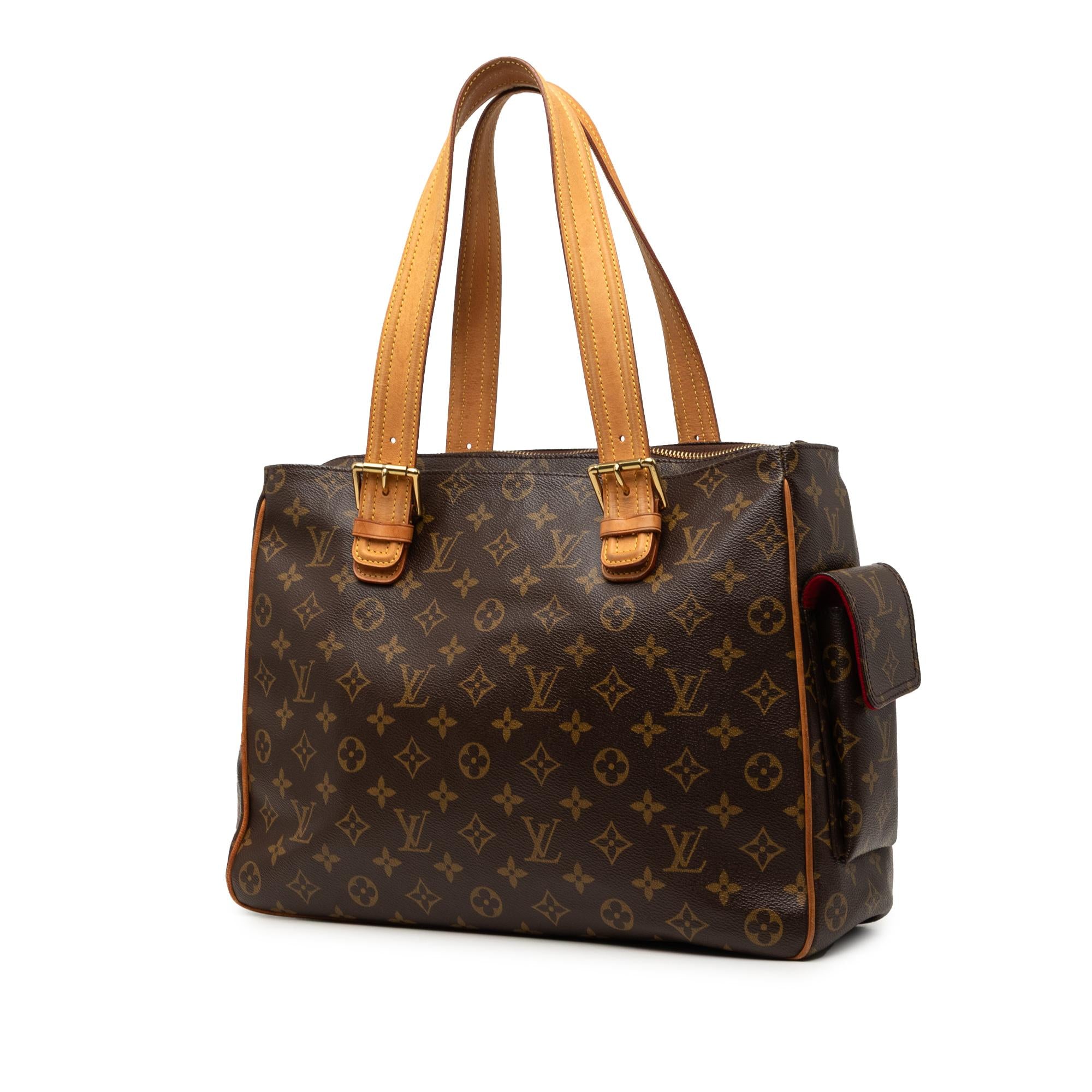 Louis Vuitton Monogram Multipli Cite