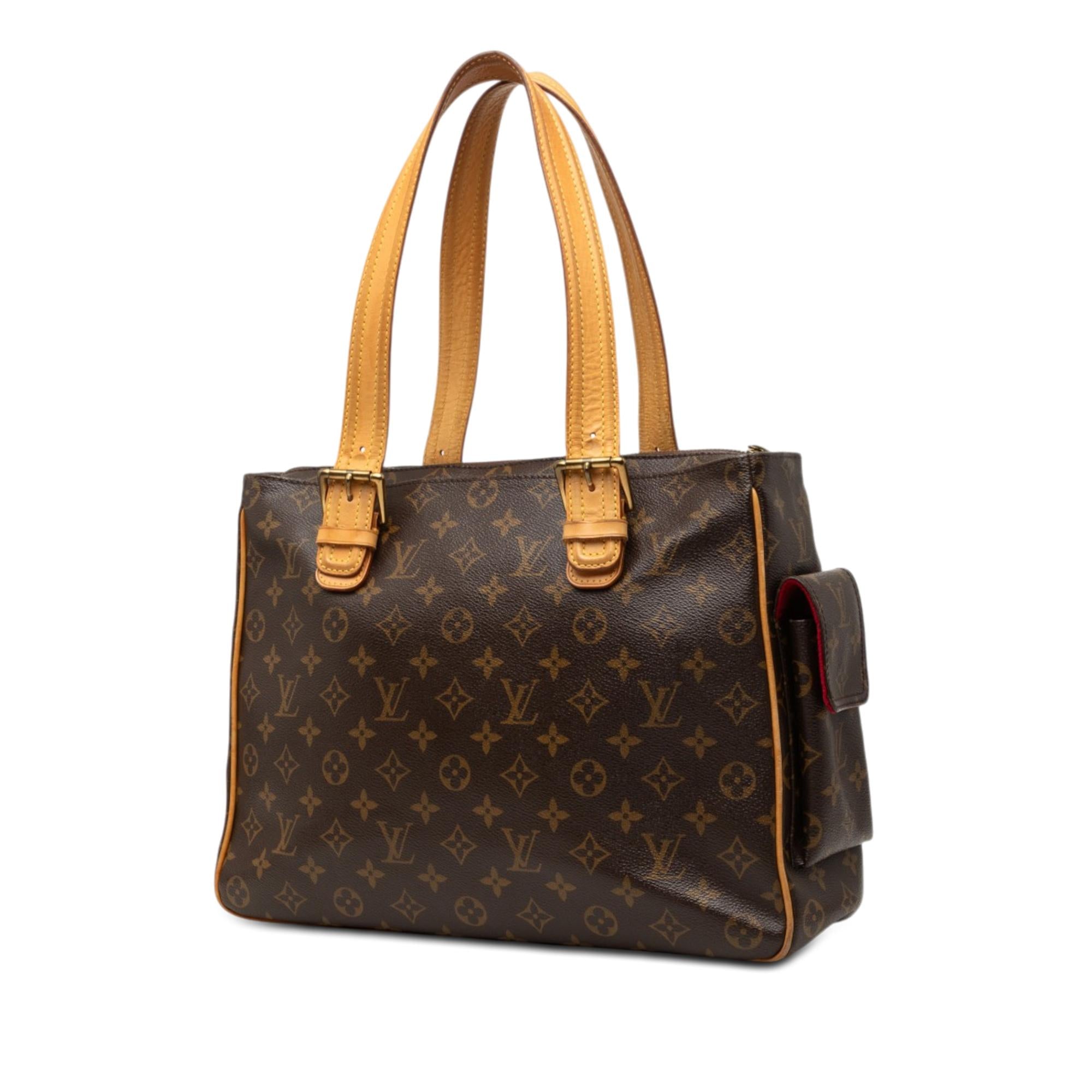 Louis Vuitton Monogram Multipli Cite