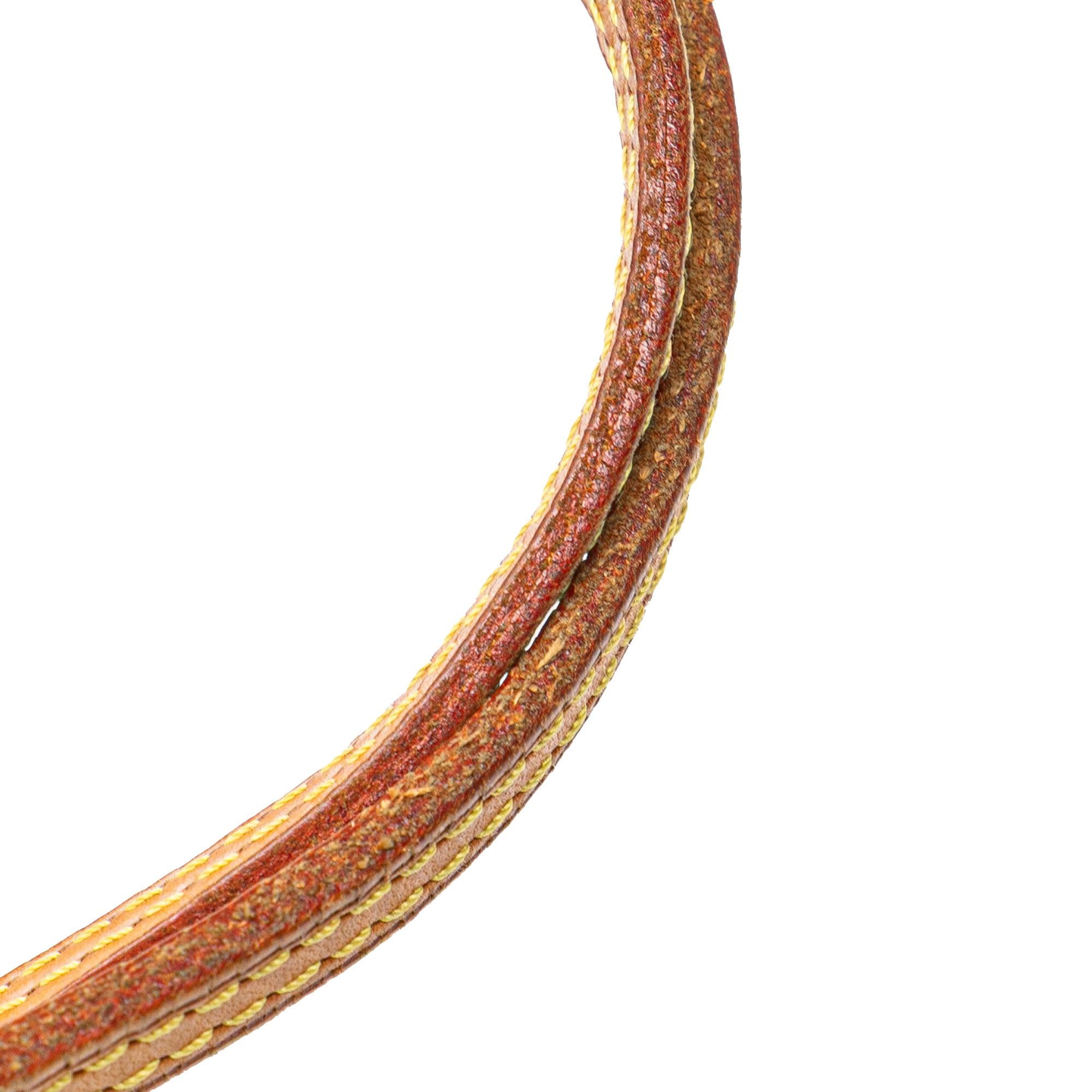 Louis Vuitton Monogram Neverfull PM