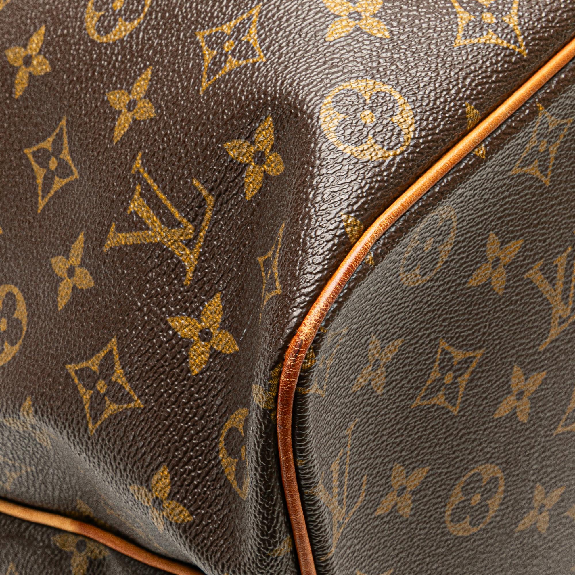 Louis Vuitton Monogram Palermo GM
