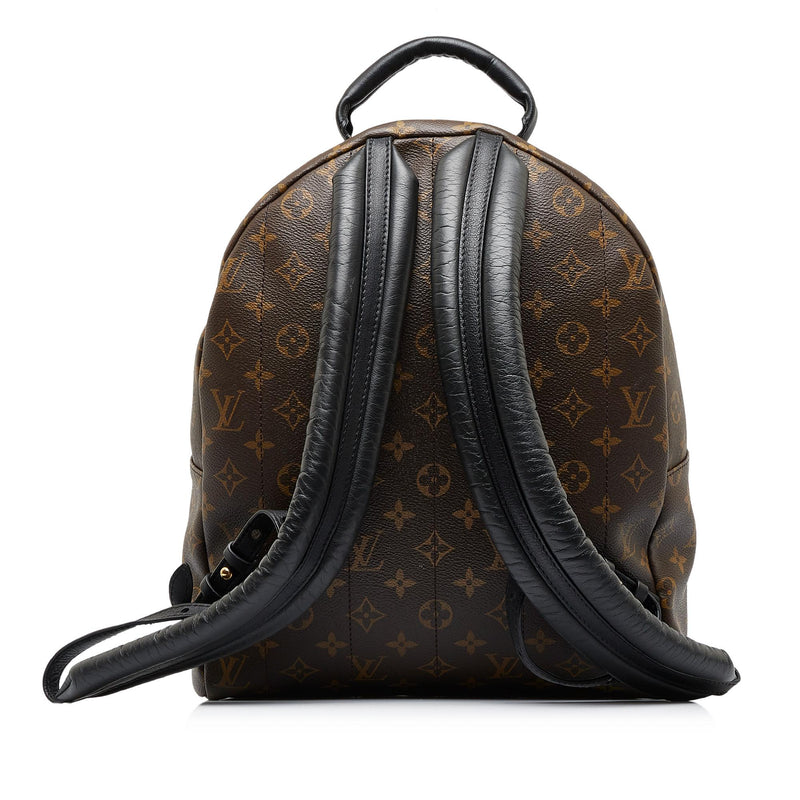 Louis Vuitton Monogram Palm Springs Backpack mm in Brown, Women's