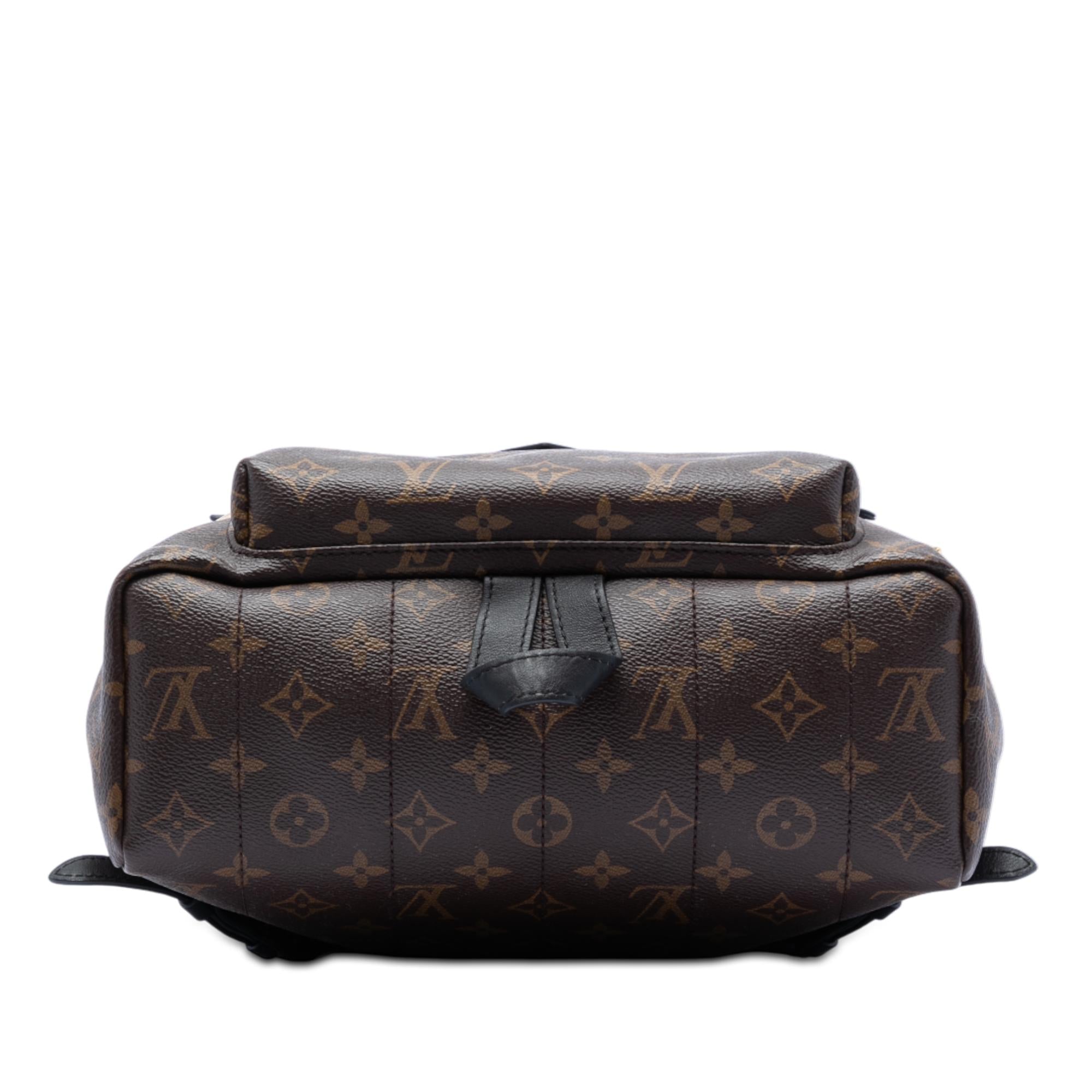 Louis Vuitton Monogram Palm Springs MM