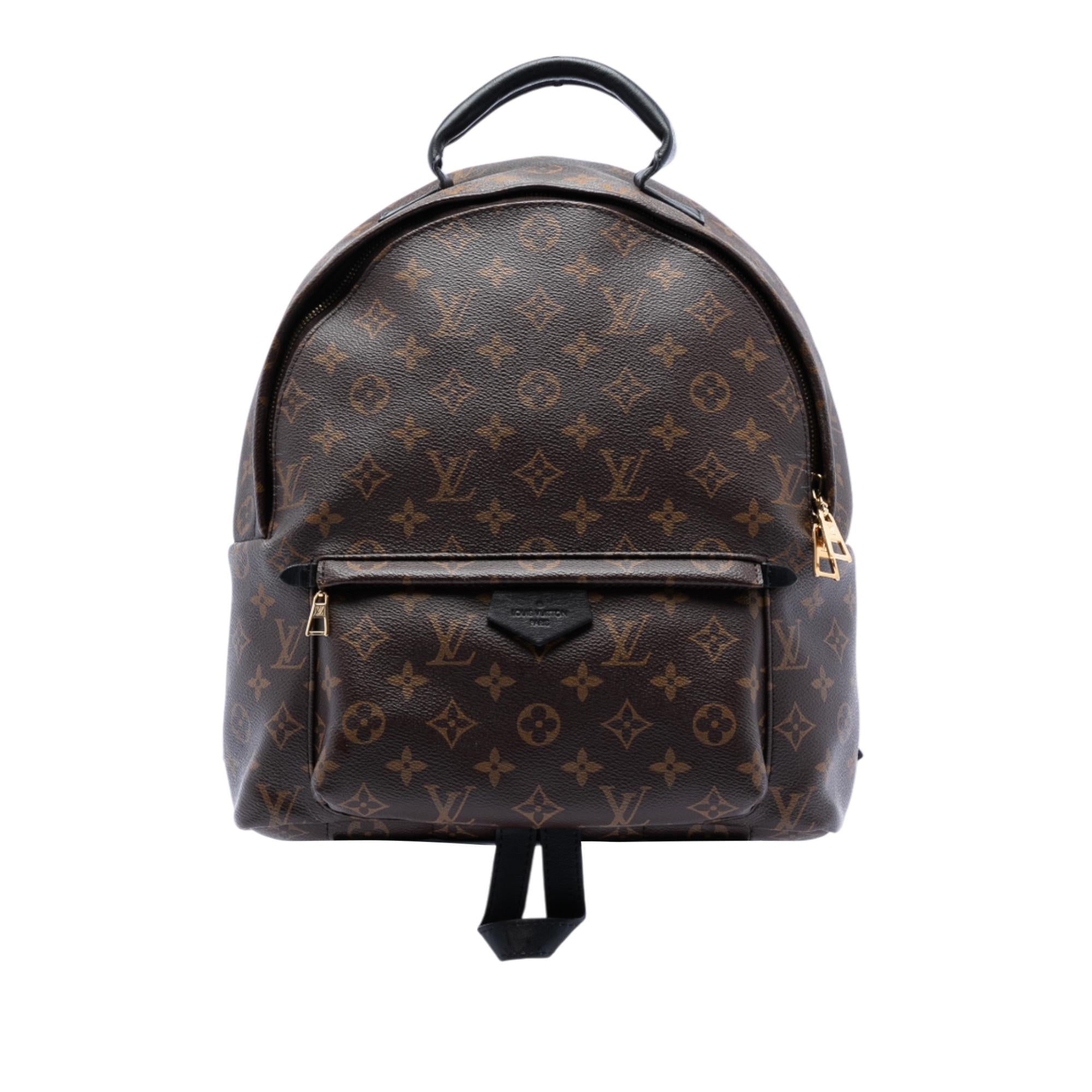 Louis Vuitton Monogram Palm Springs MM