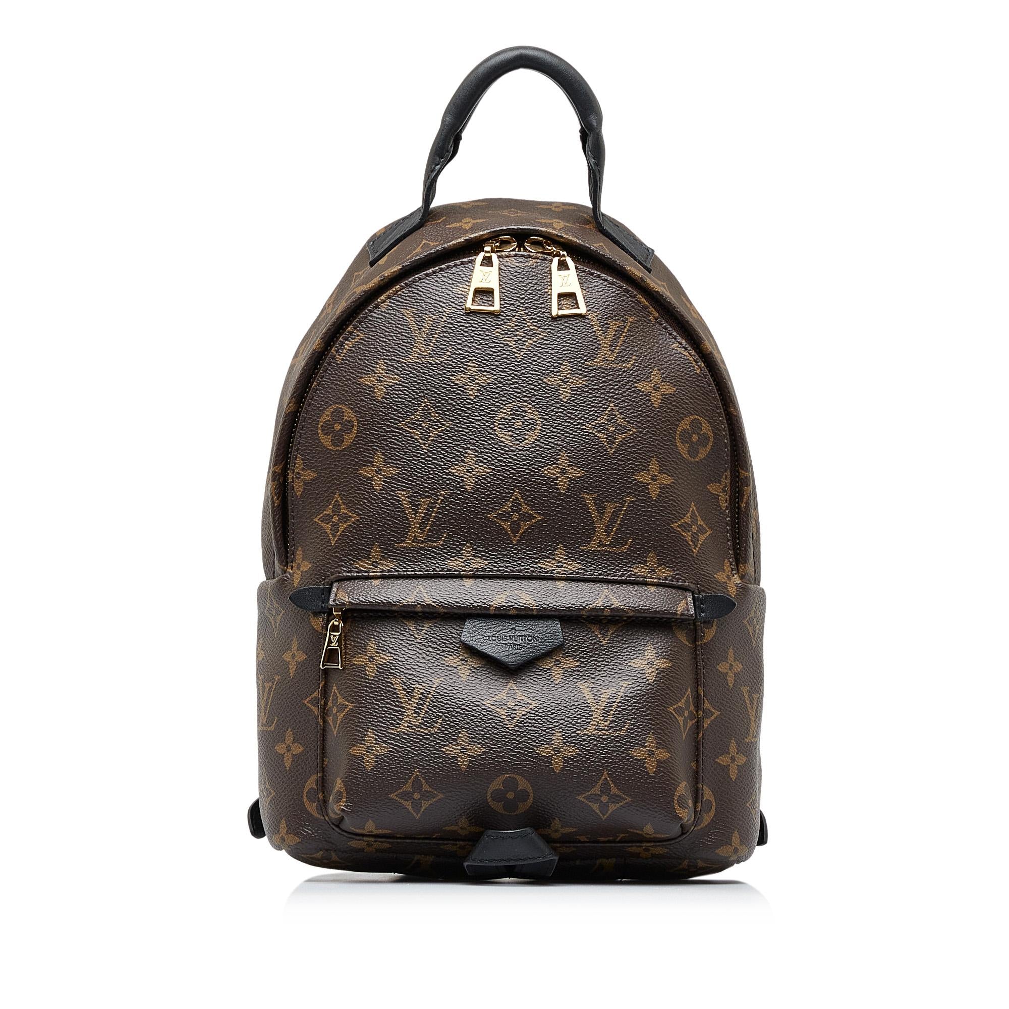 Louis Vuitton Monogram Palm Springs PM (SHG-cHfJey)