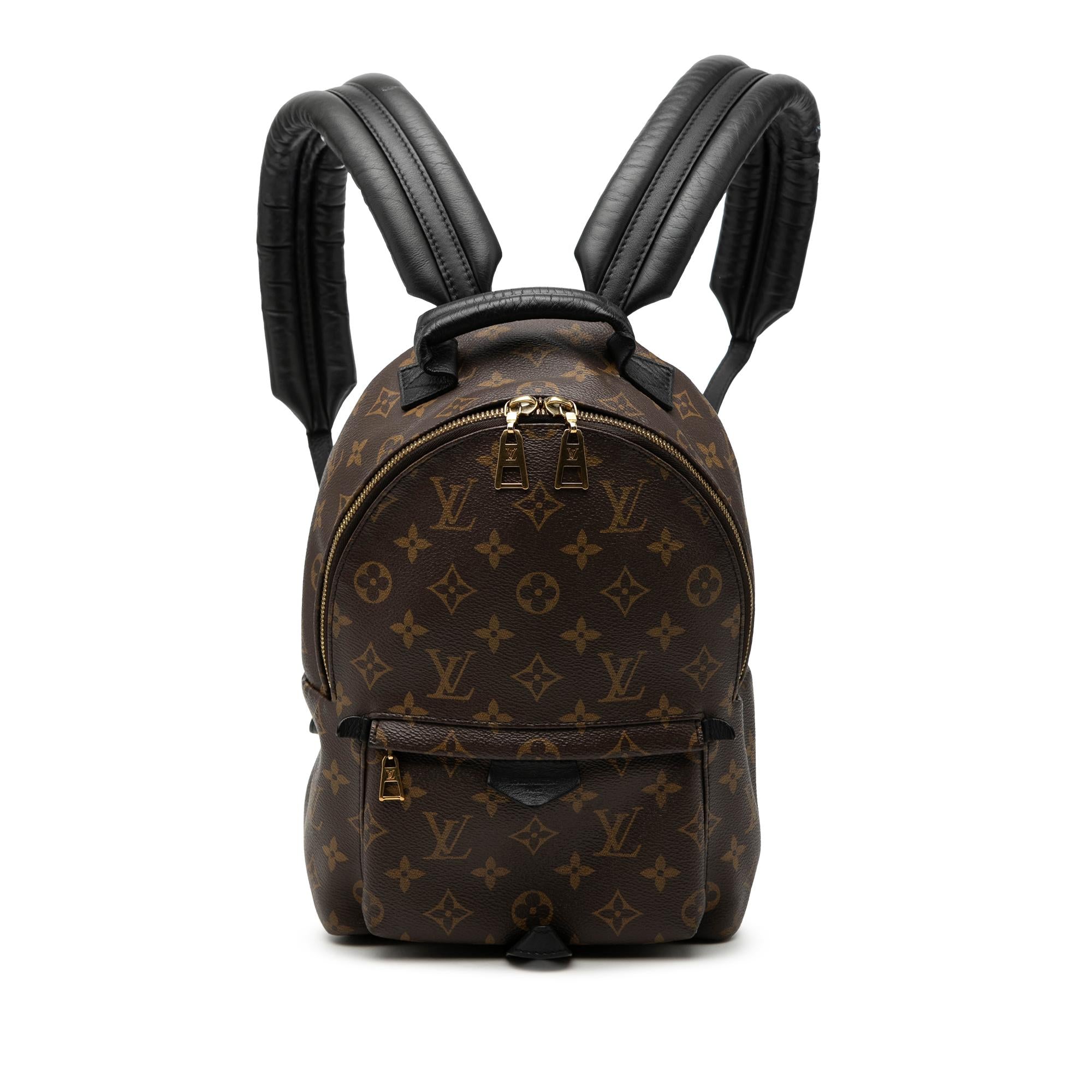 Louis Vuitton Monogram Palm Springs PM