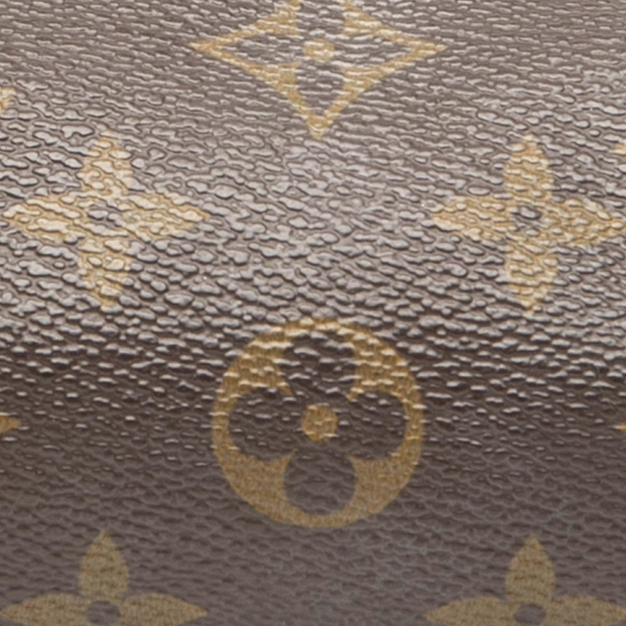 Louis Vuitton Monogram Papillon Pochette