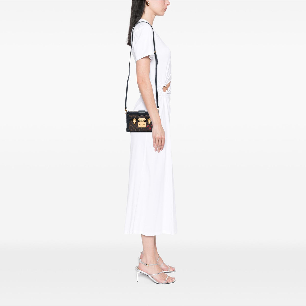 Louis Vuitton Monogram Petite Malle