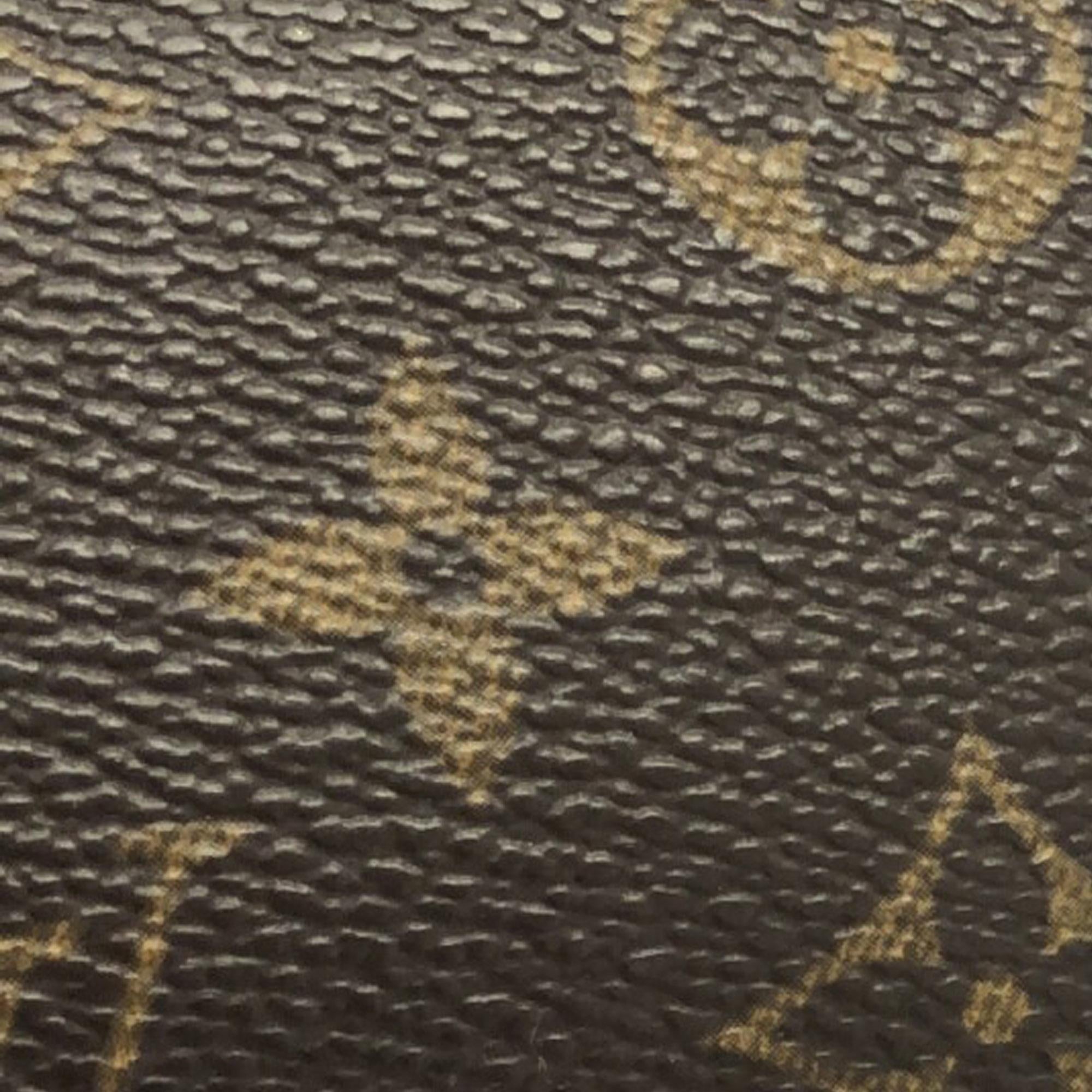 Louis Vuitton Monogram Pochette Accessoires (SHG-iVclkt)