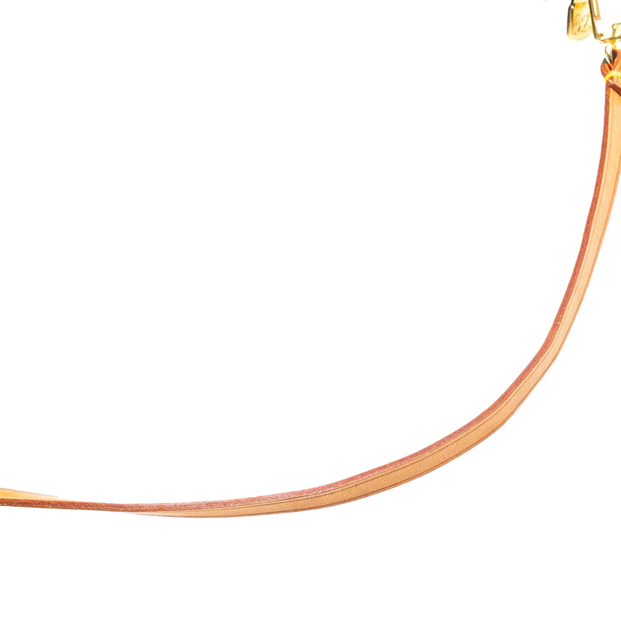 Louis Vuitton Monogram Pochette Accessoires