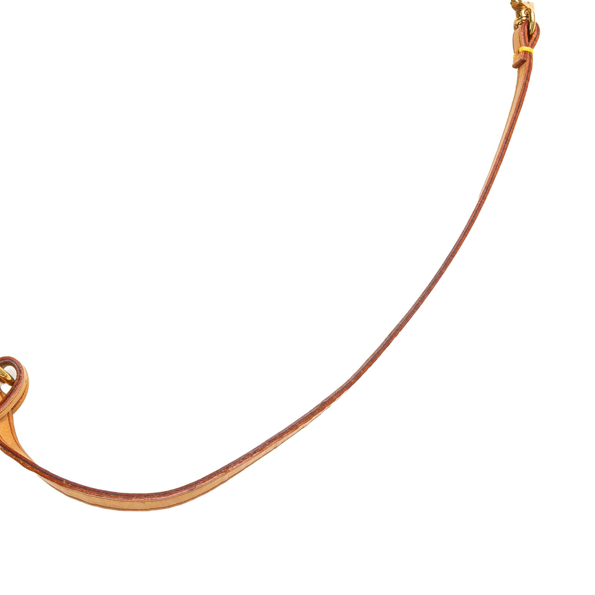 Louis Vuitton Monogram Pochette Accessoires